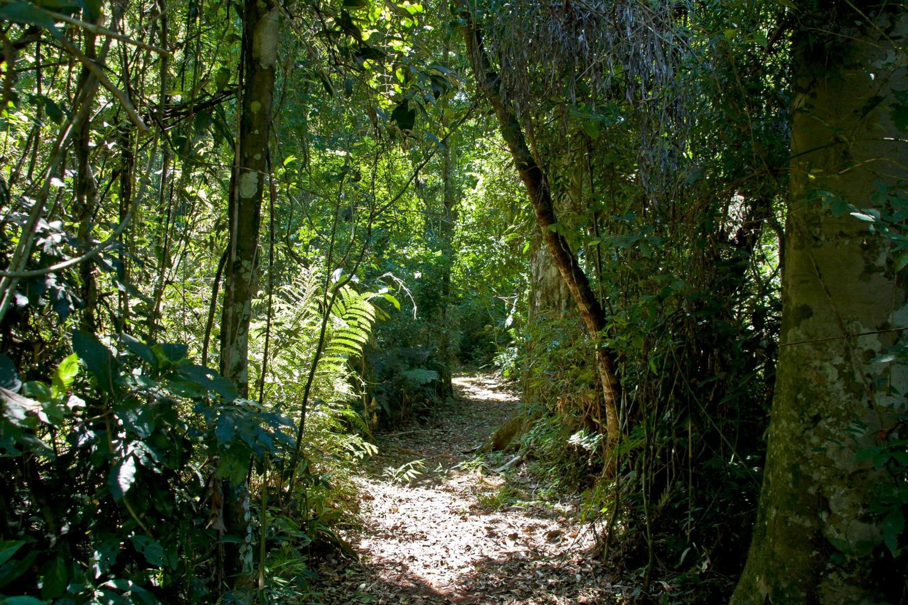 Tierra Guaraní Lodge