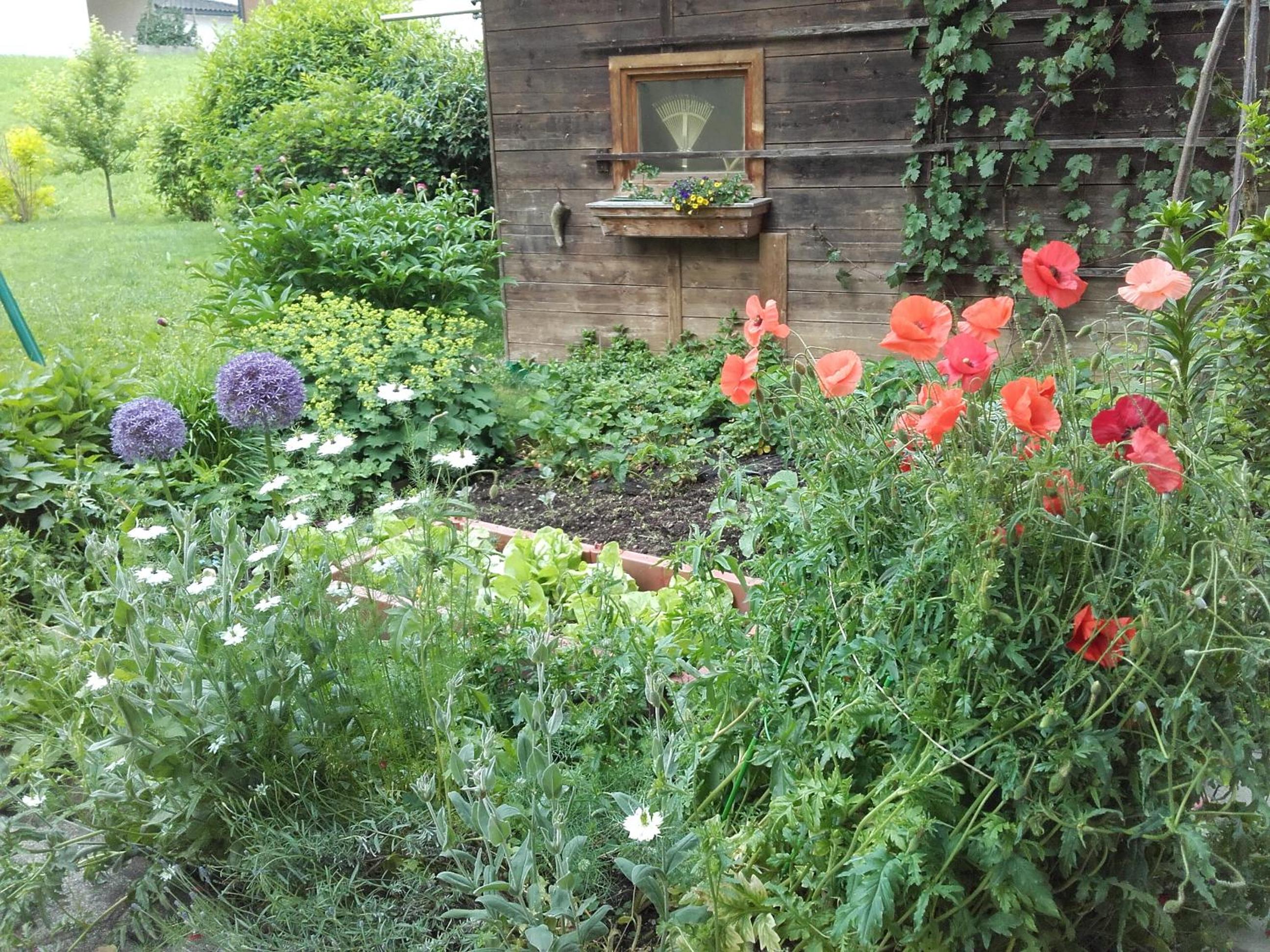Haus Holaus Helga