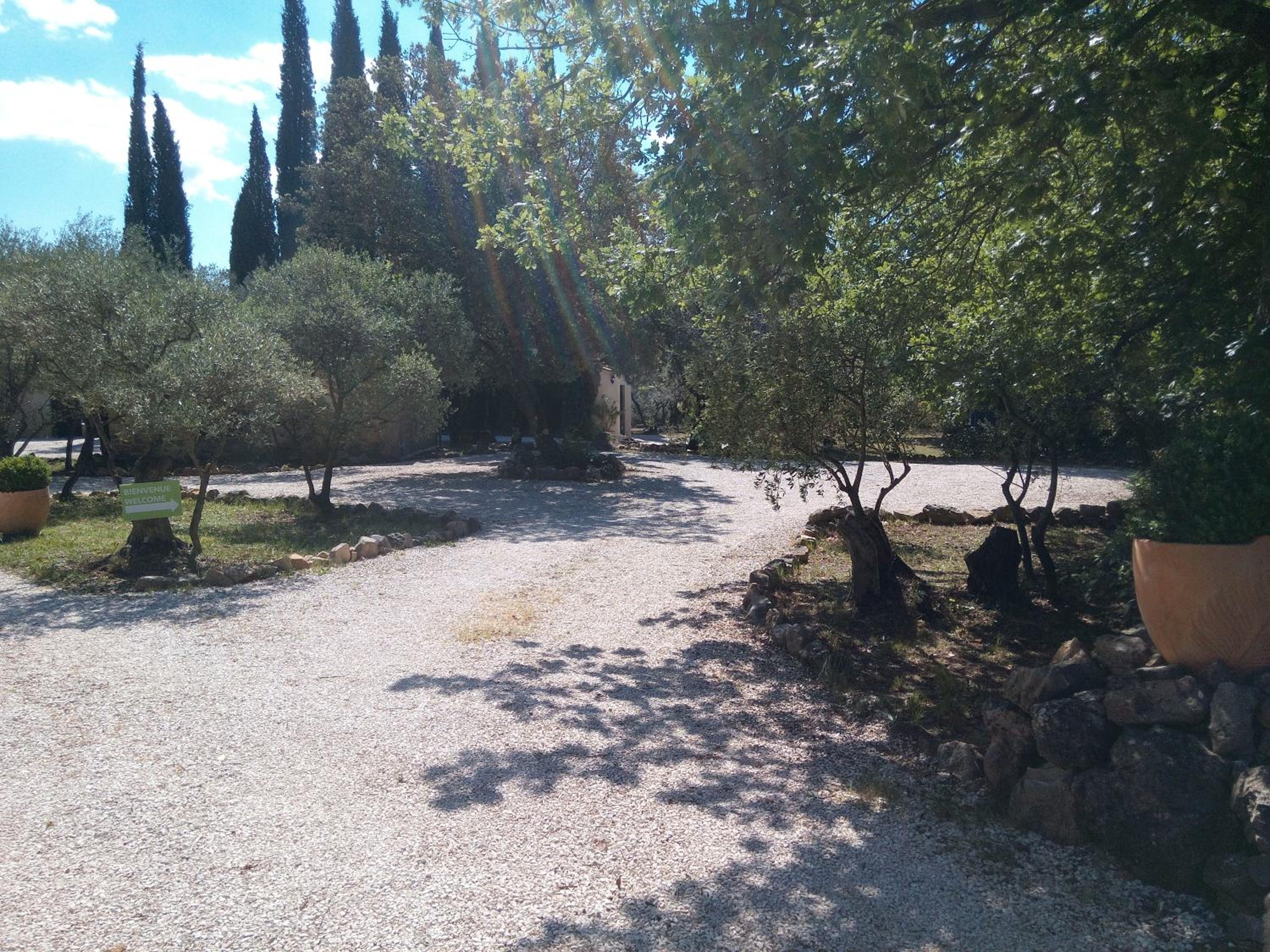 Photo 13