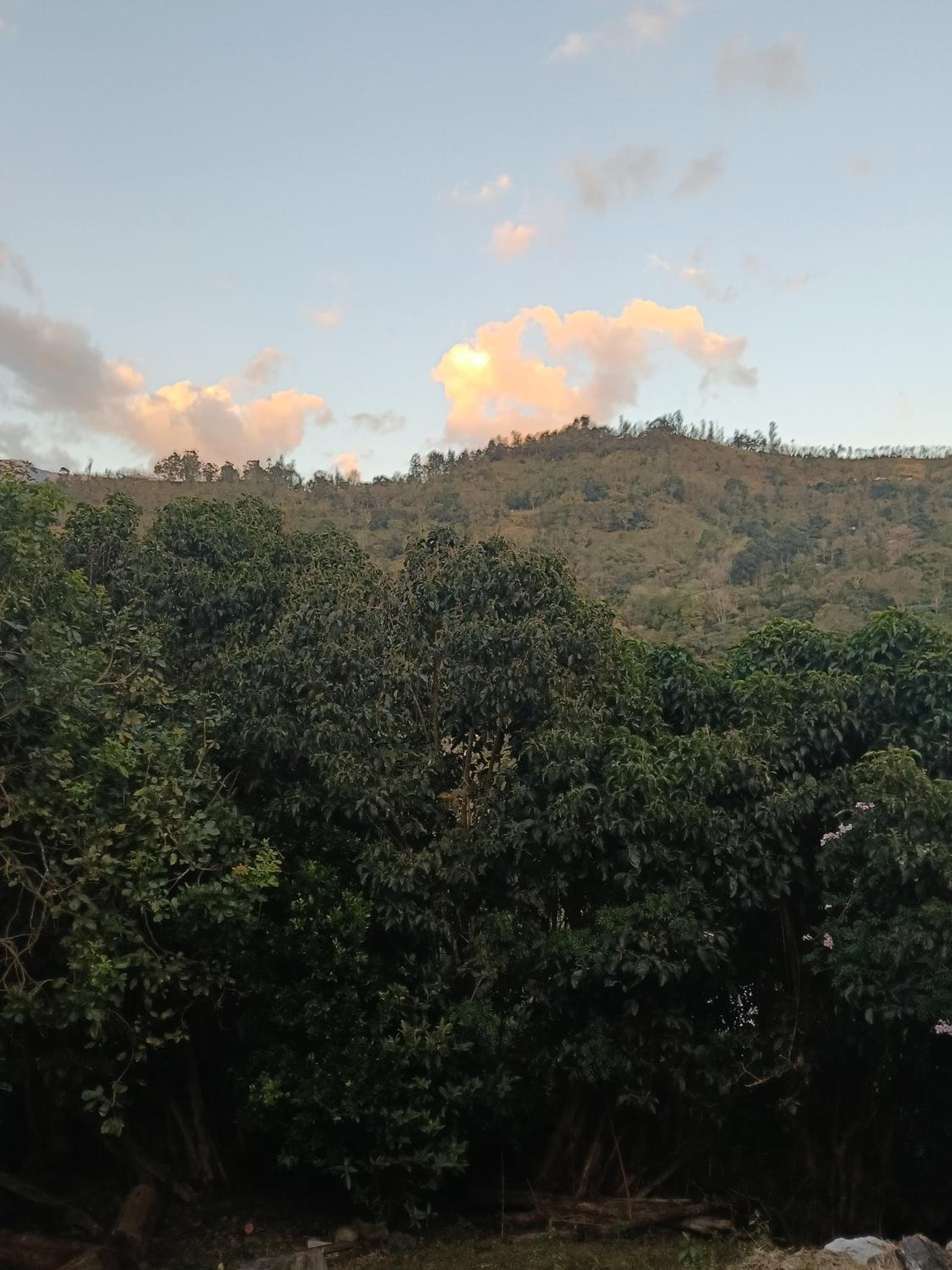 Skale Peregrino, photo 71