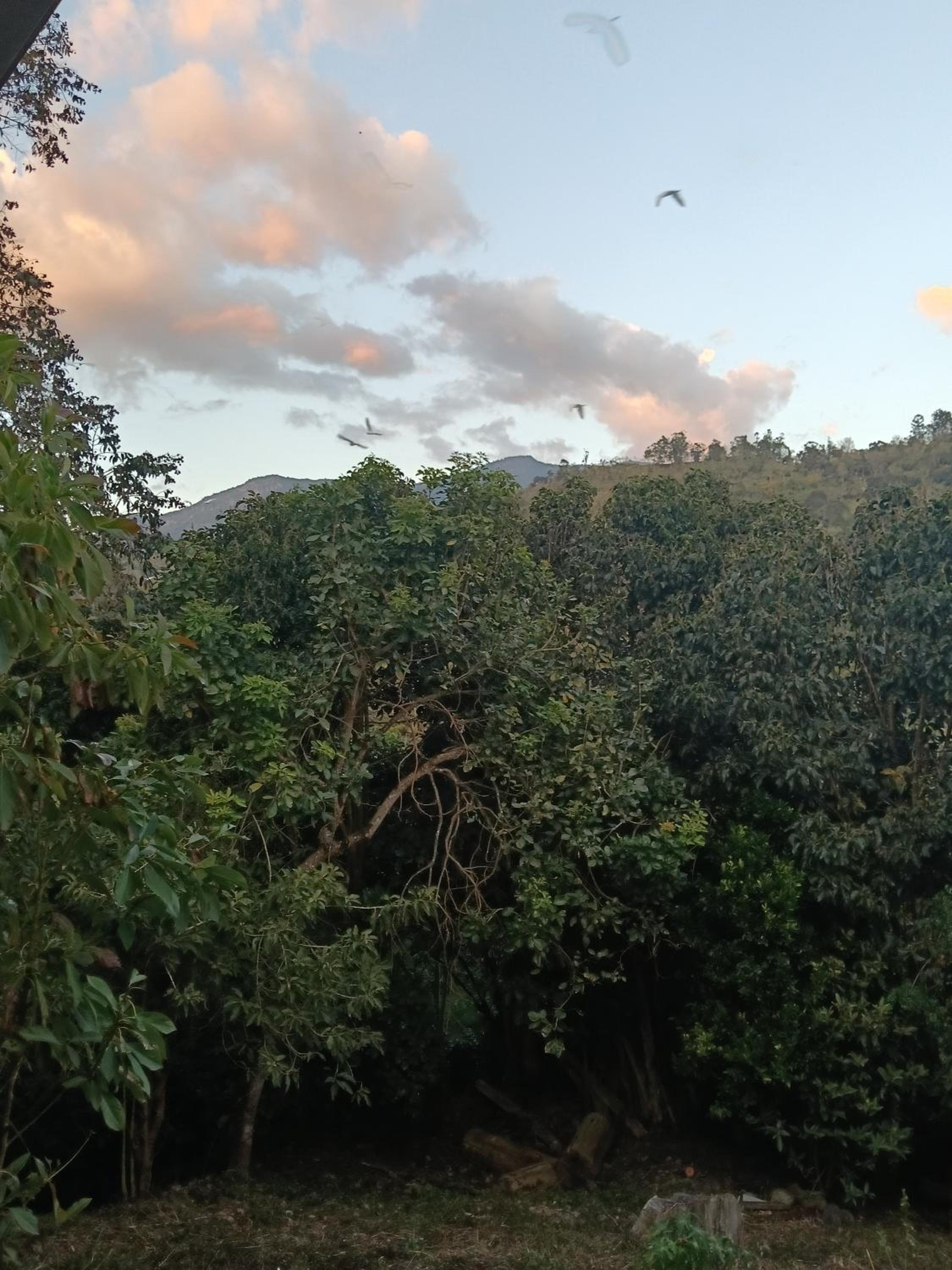 Skale Peregrino, photo 31