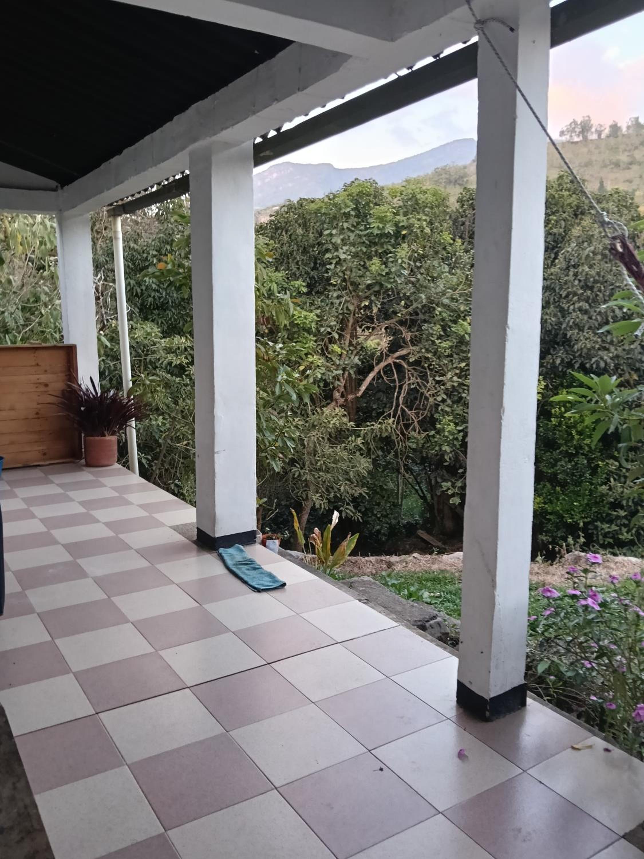 Skale Peregrino, photo 17