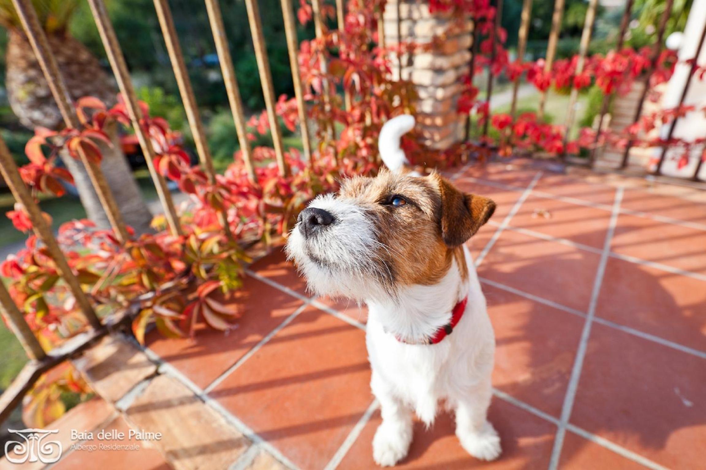Baia Delle Palme Beach photo 2
