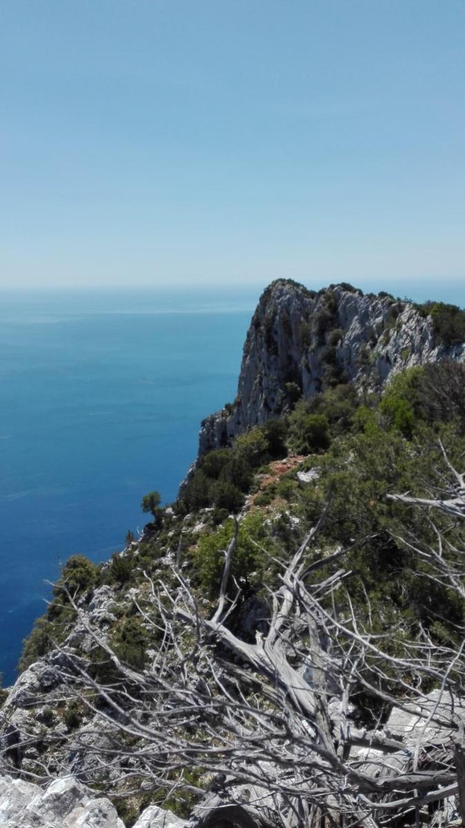 Naramanue en Dorgali