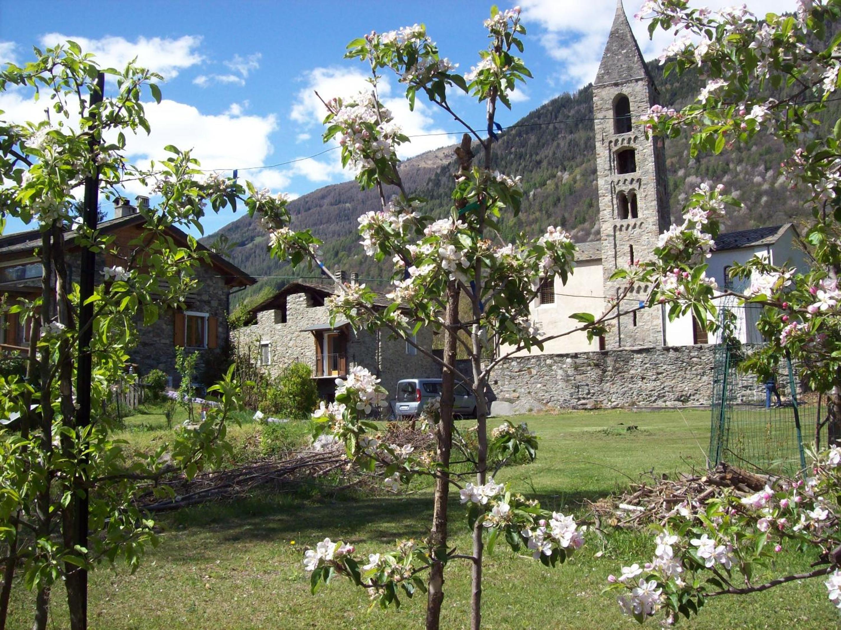 Photo 24