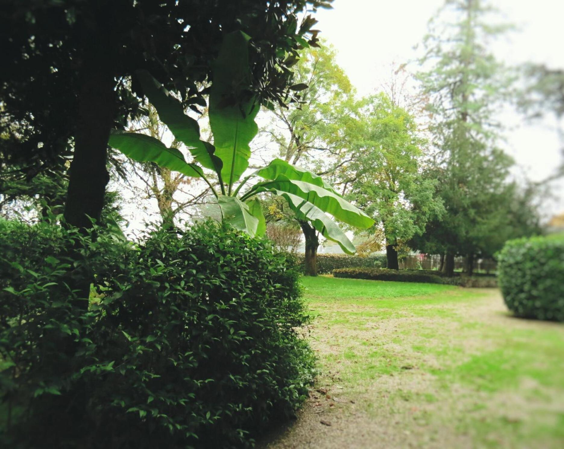 Photo 51