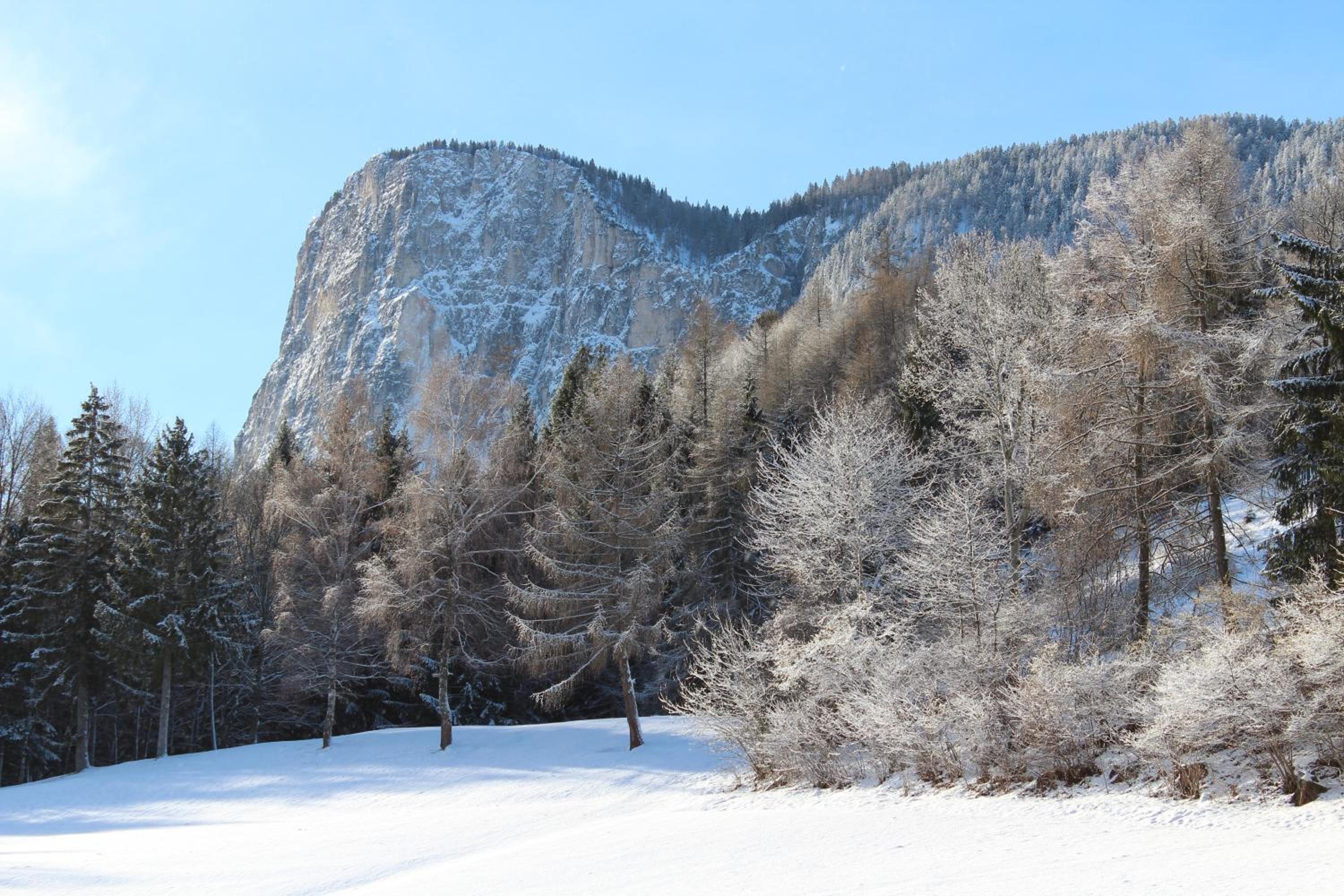 Tinnerhof