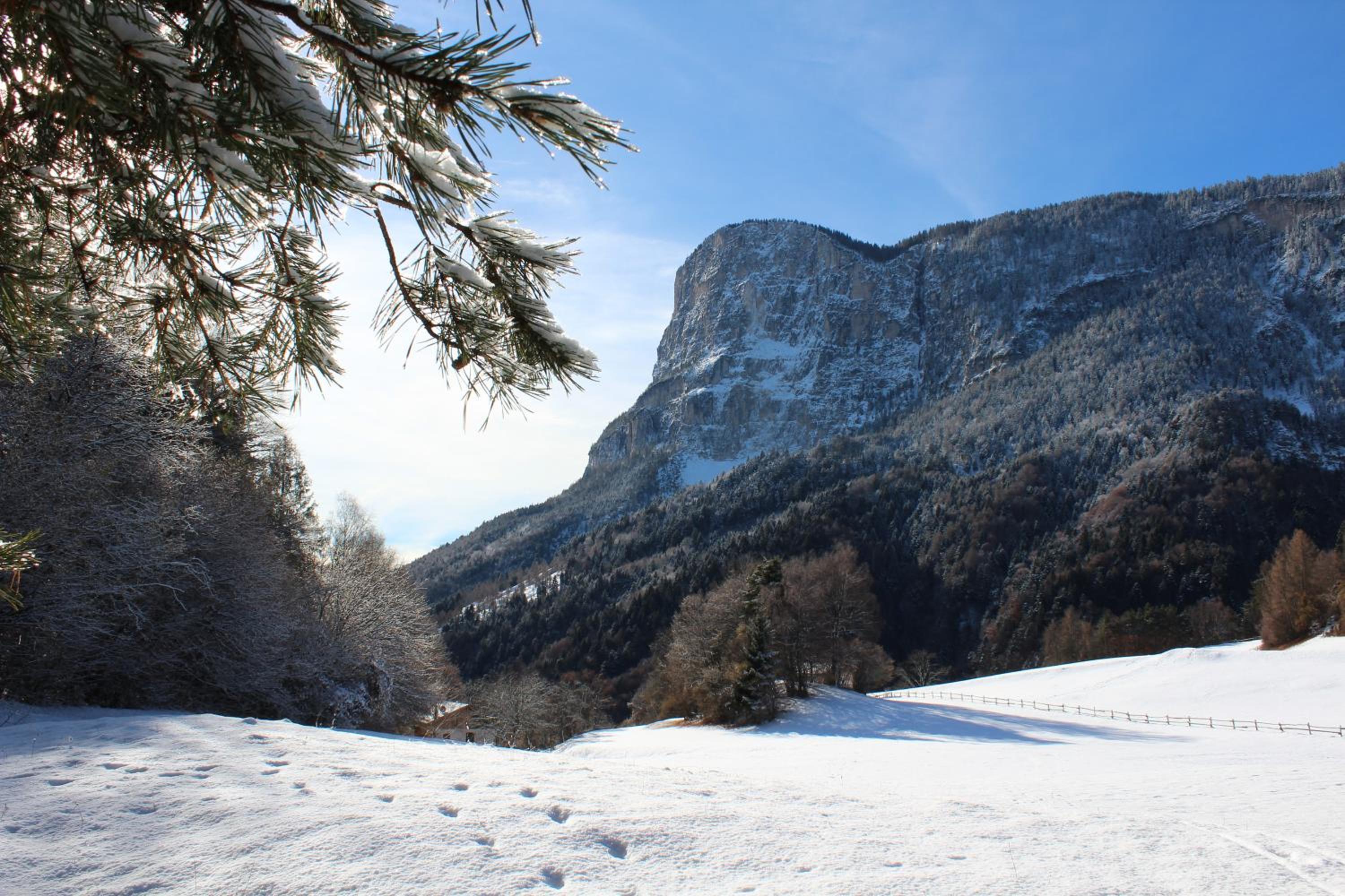 Tinnerhof