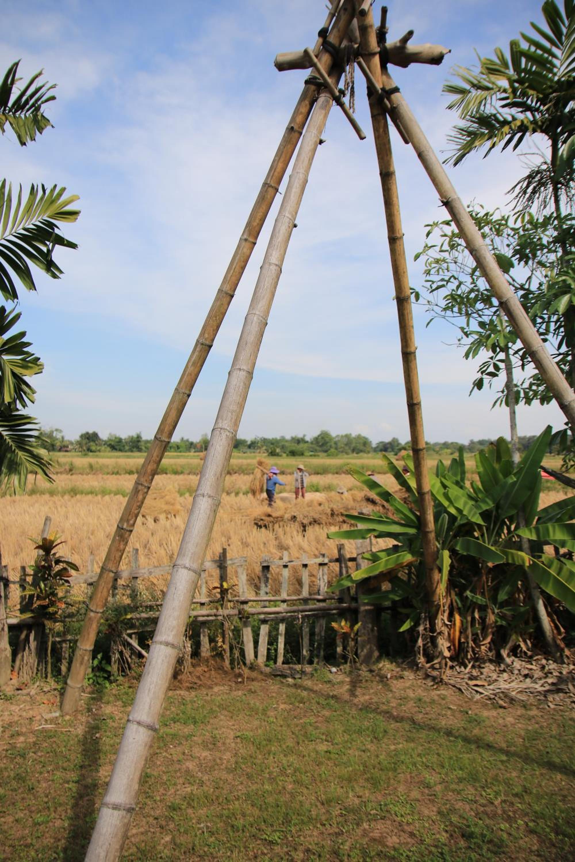 Ban Din Resort Chiang Rai