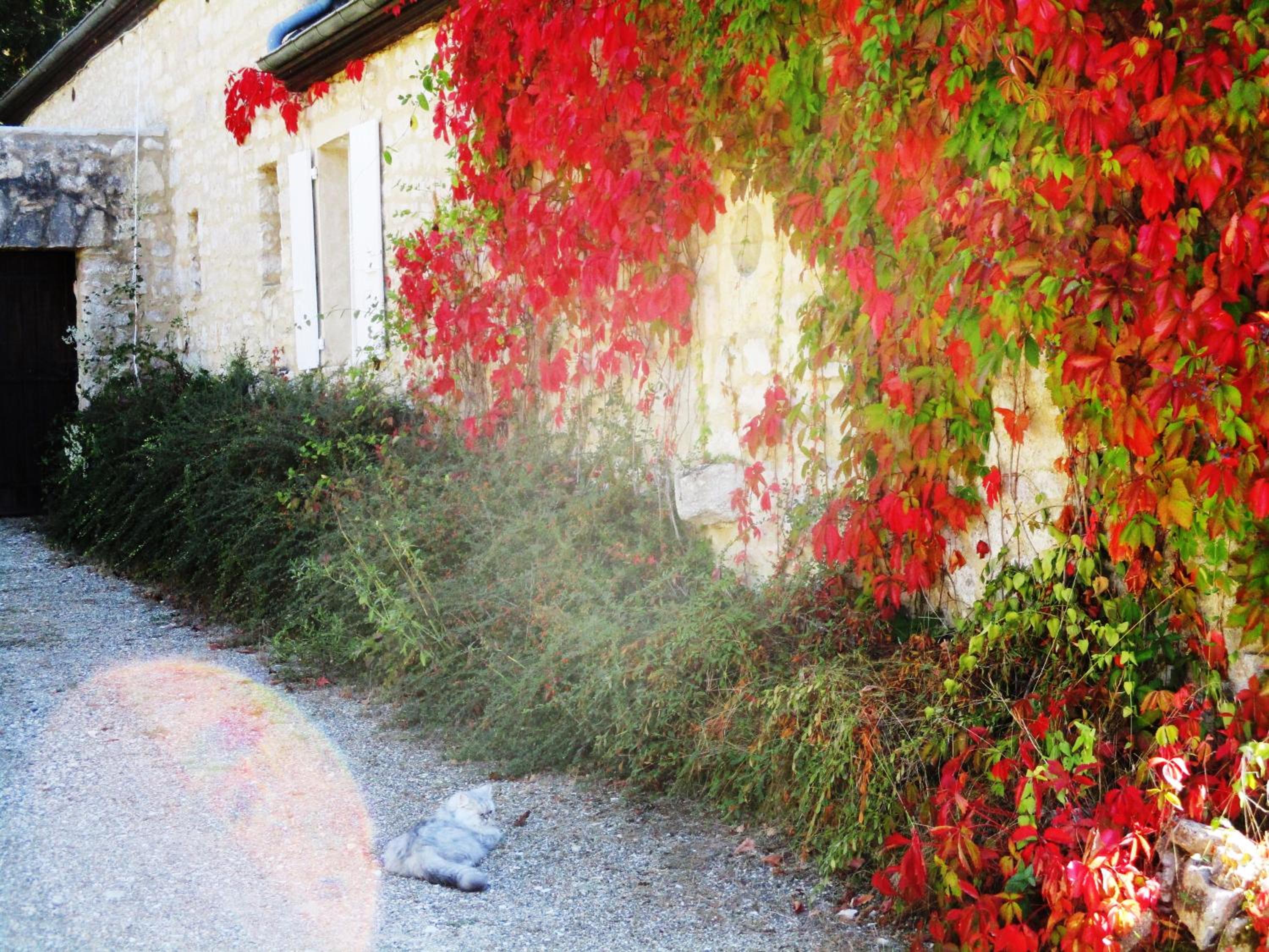 Gîtes Coeur de Lot
