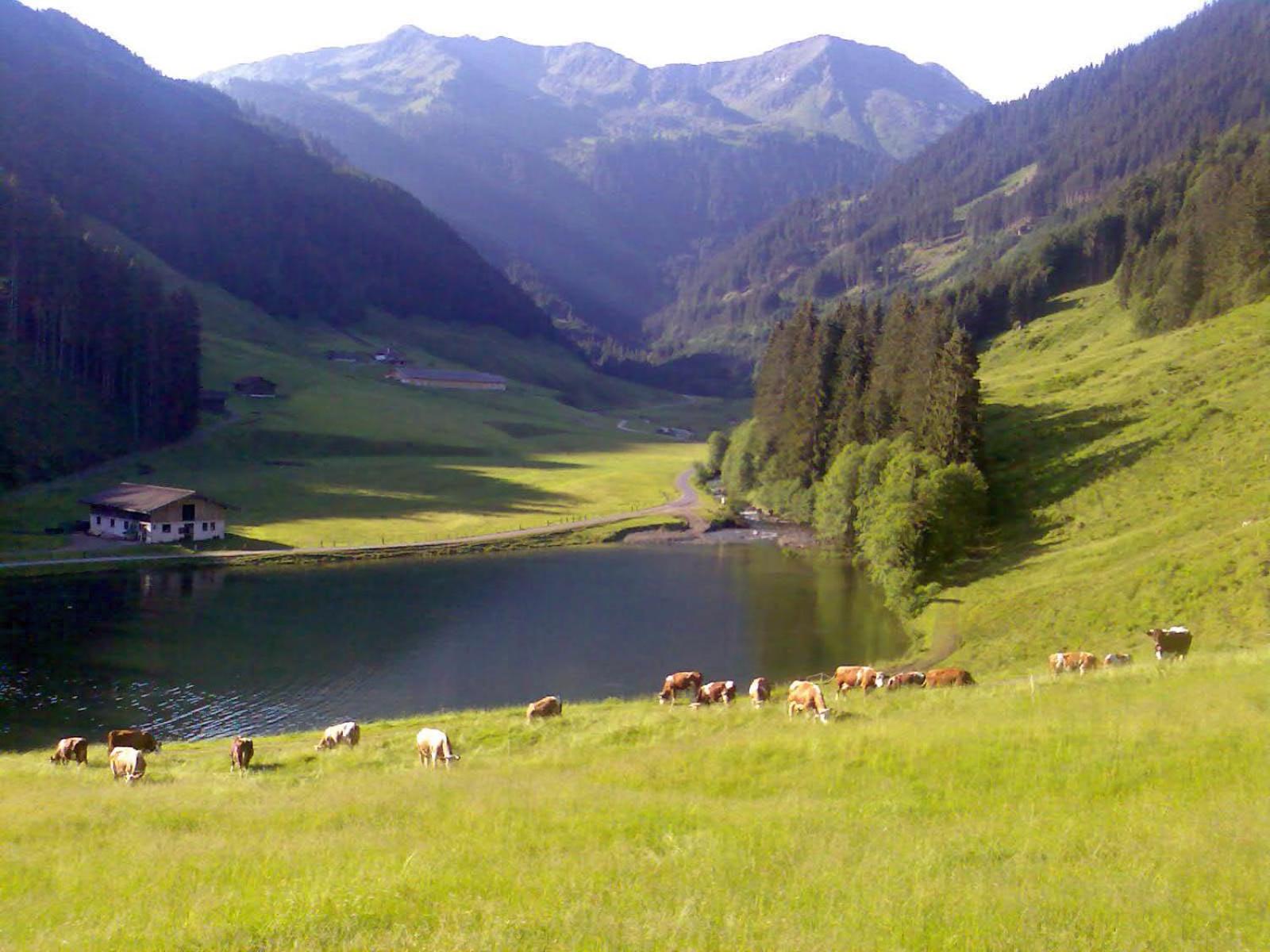 Chalet Ursteinhütte