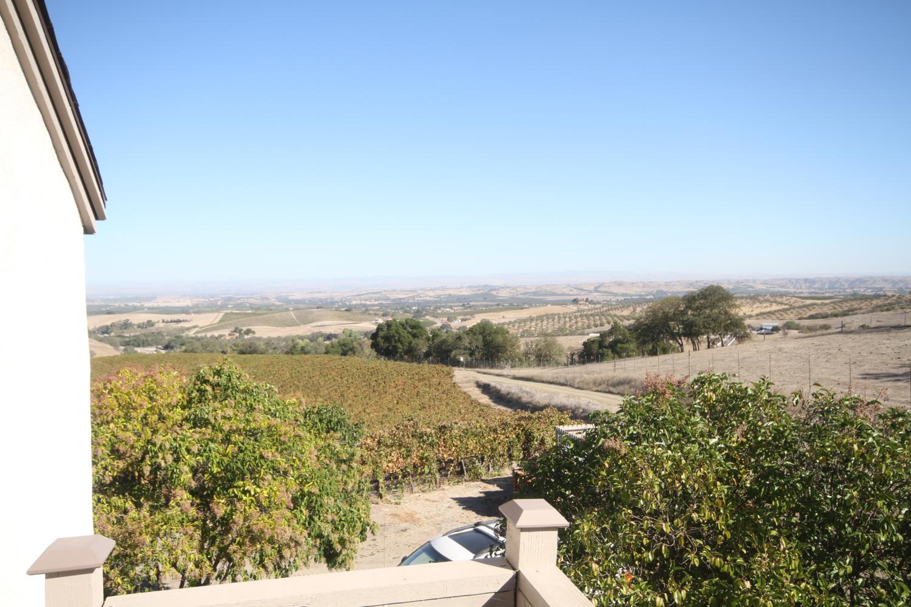 The Eden House Vineyard