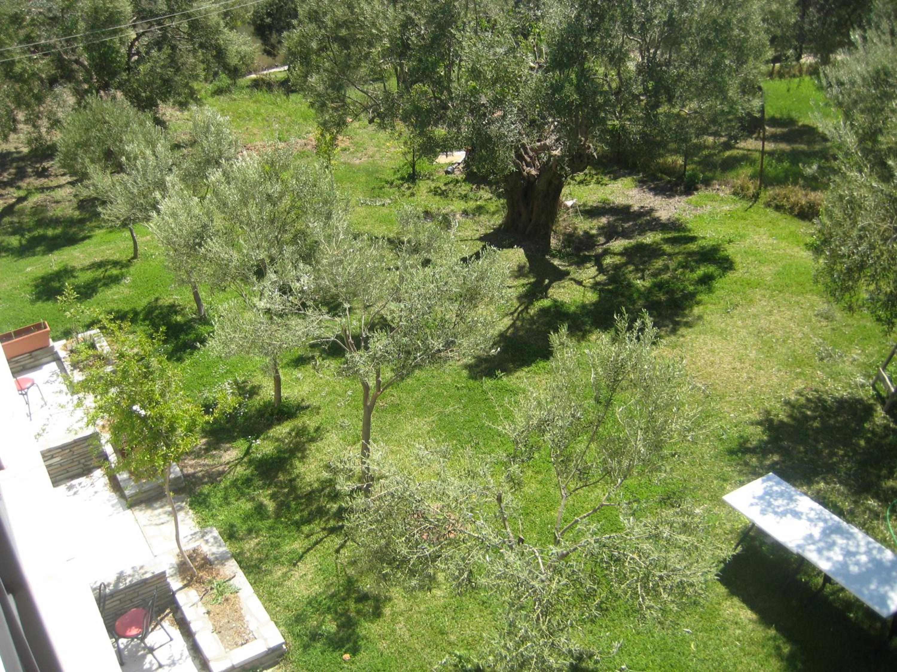 Petradaki Apartments