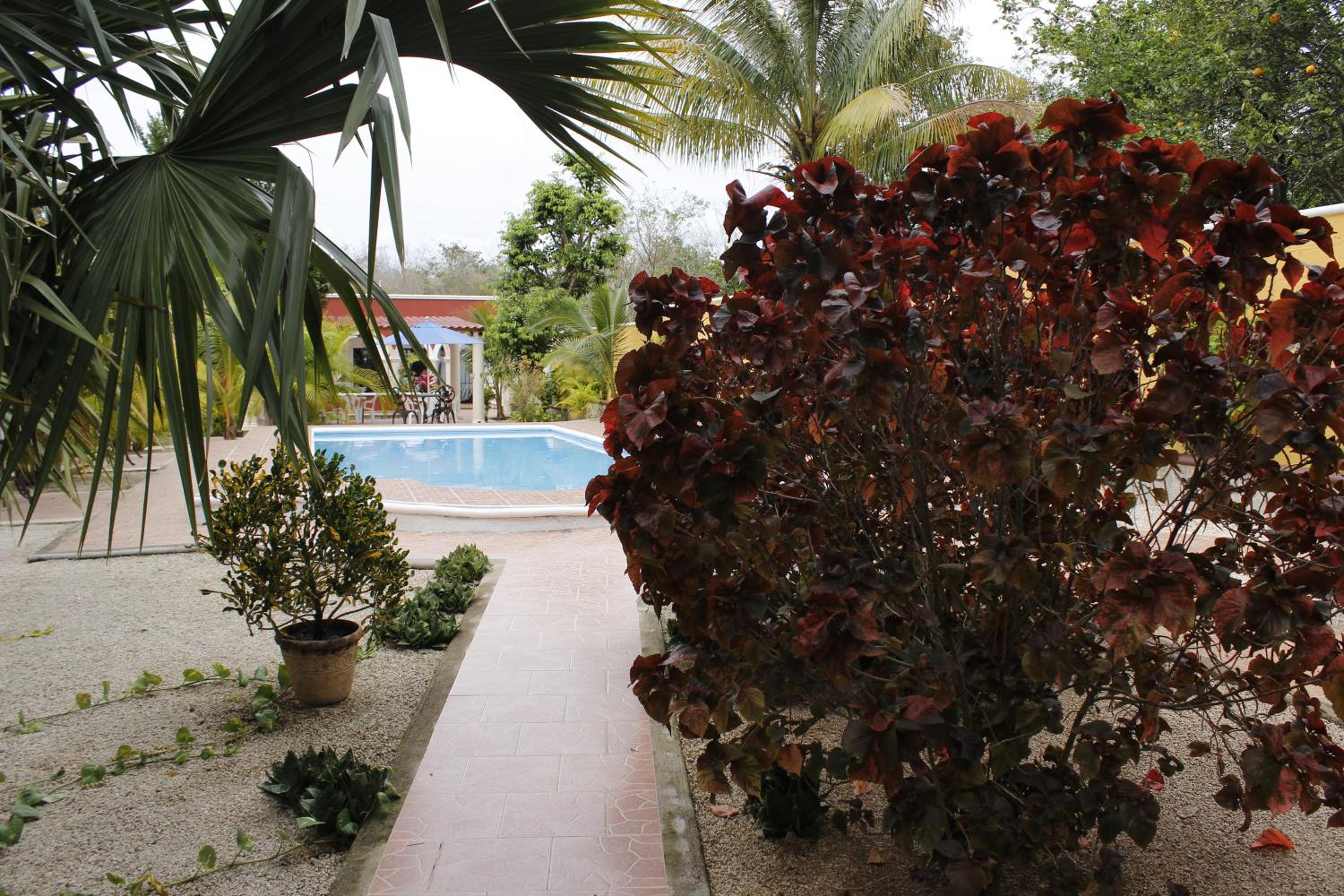 Photo 6