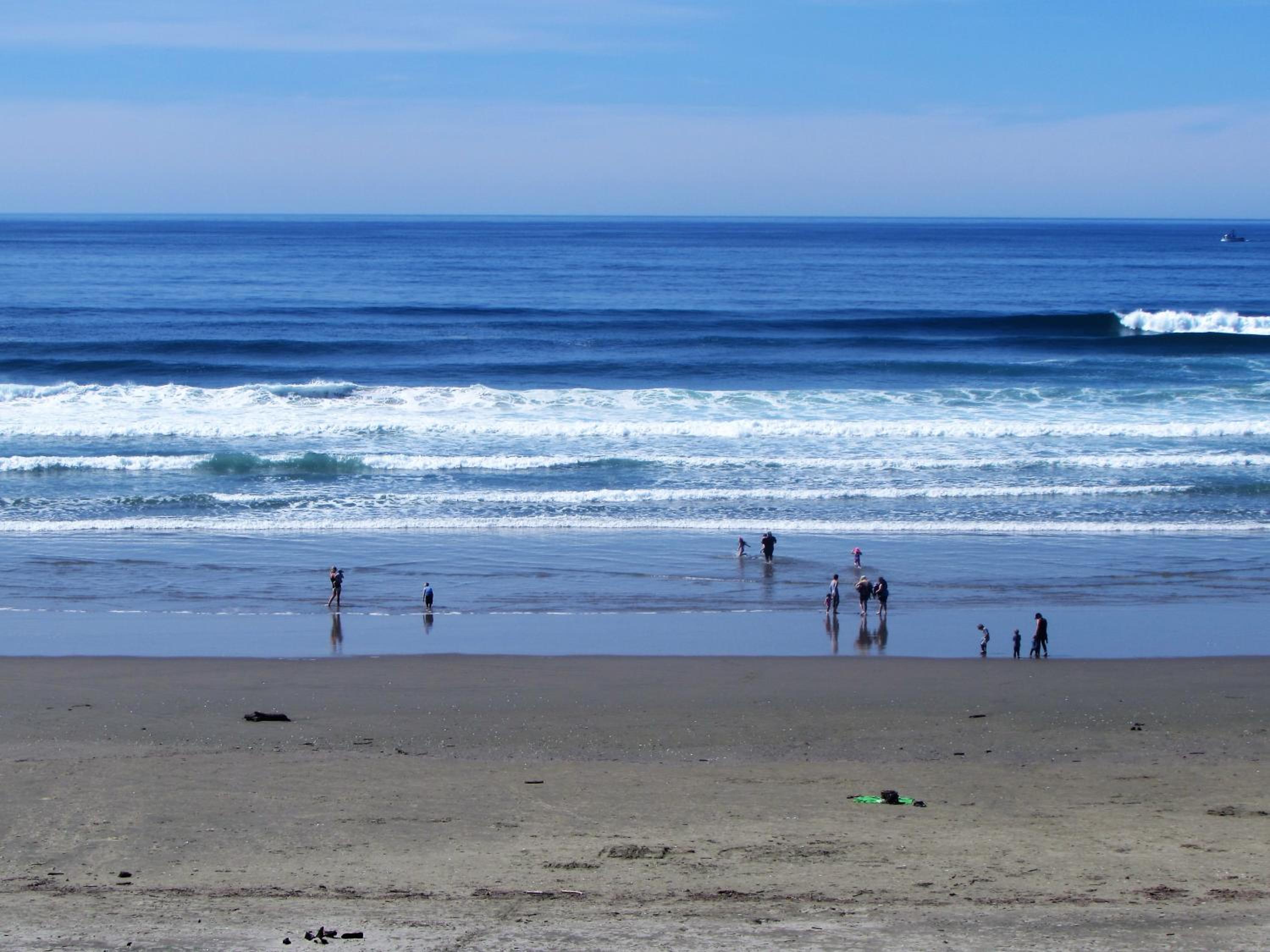 Driftwood Shores Resort