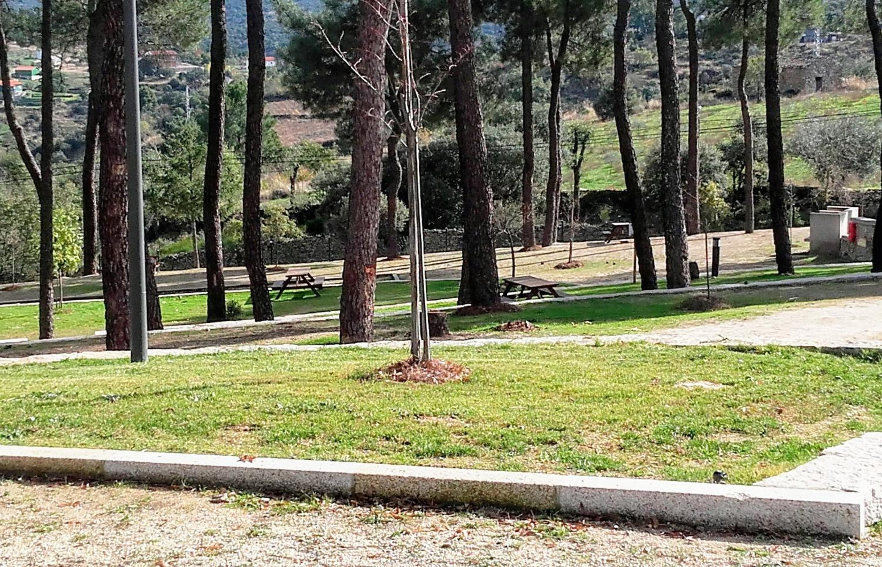 Douro Camping, photo 51