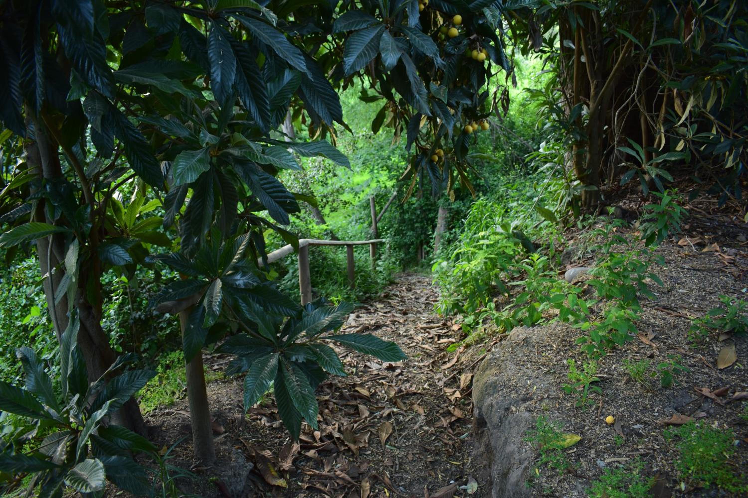 Alojamiento Rural Casa Quinta Peumayen