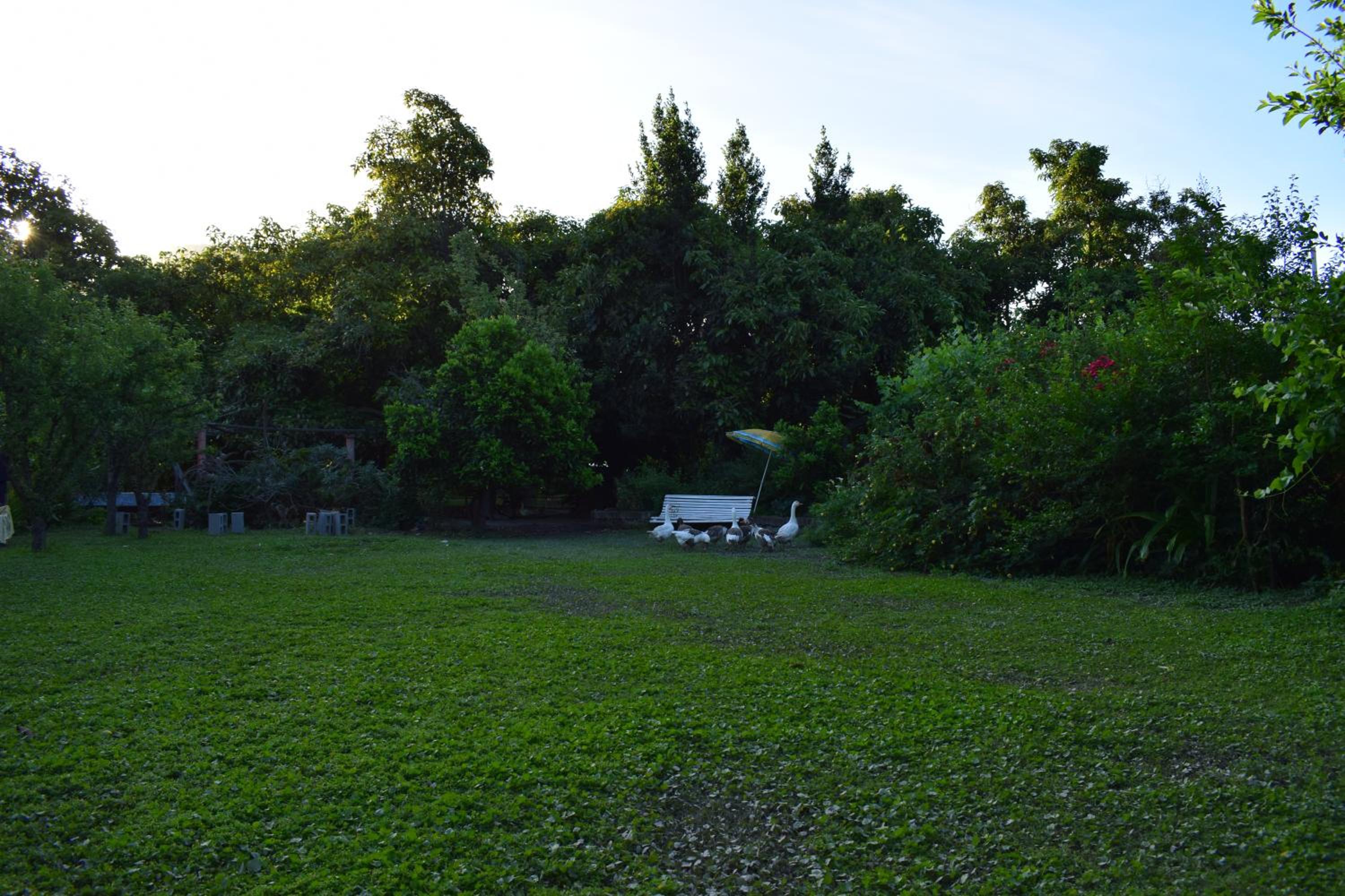 Alojamiento Rural Casa Quinta Peumayen