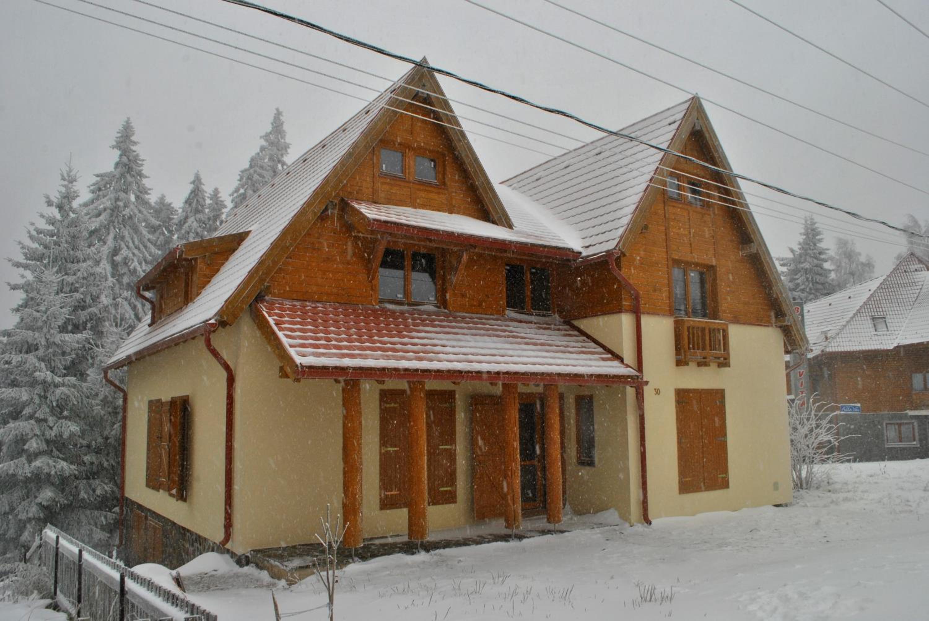 Photo 41