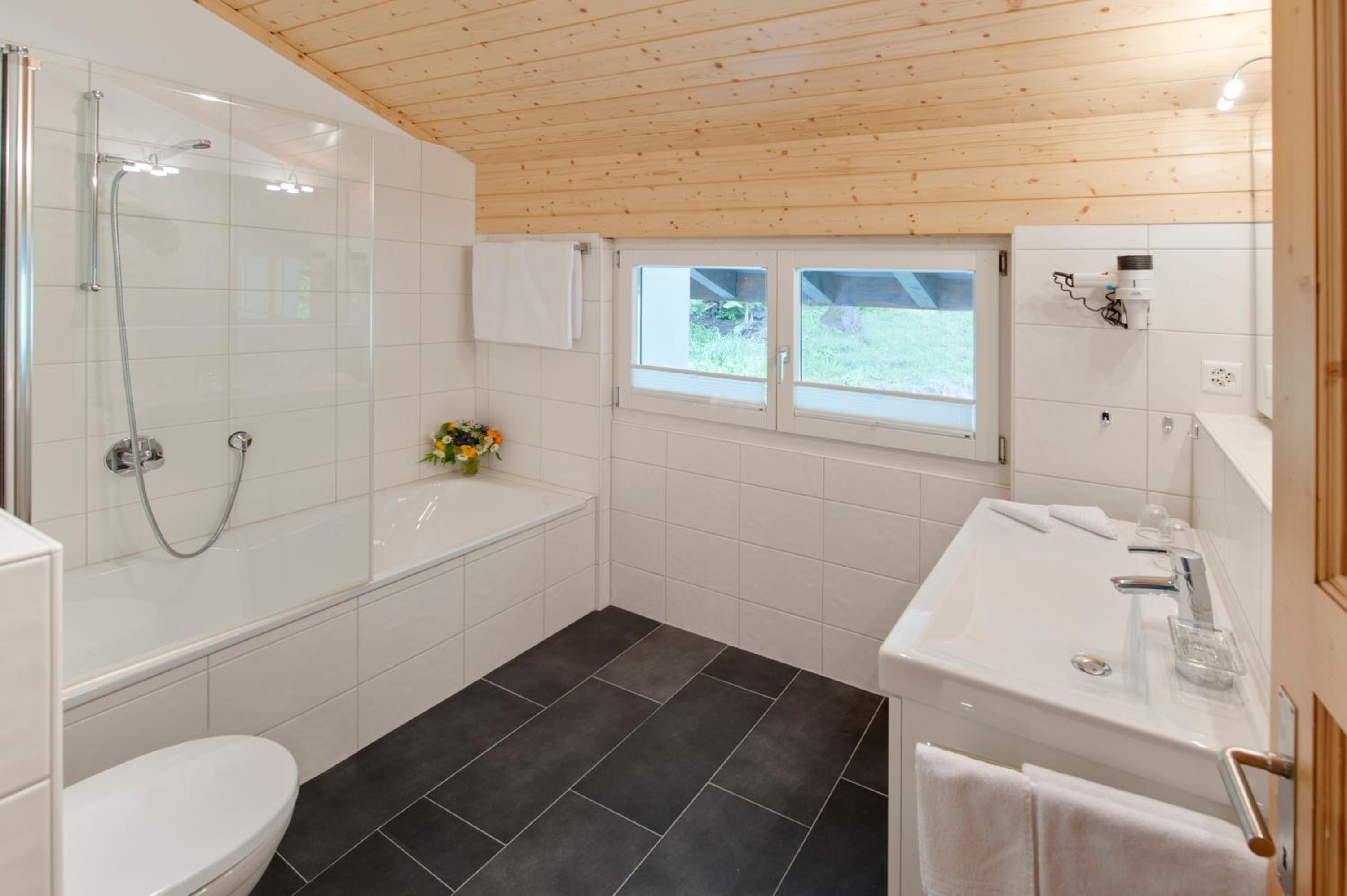Apartments Styria view 5