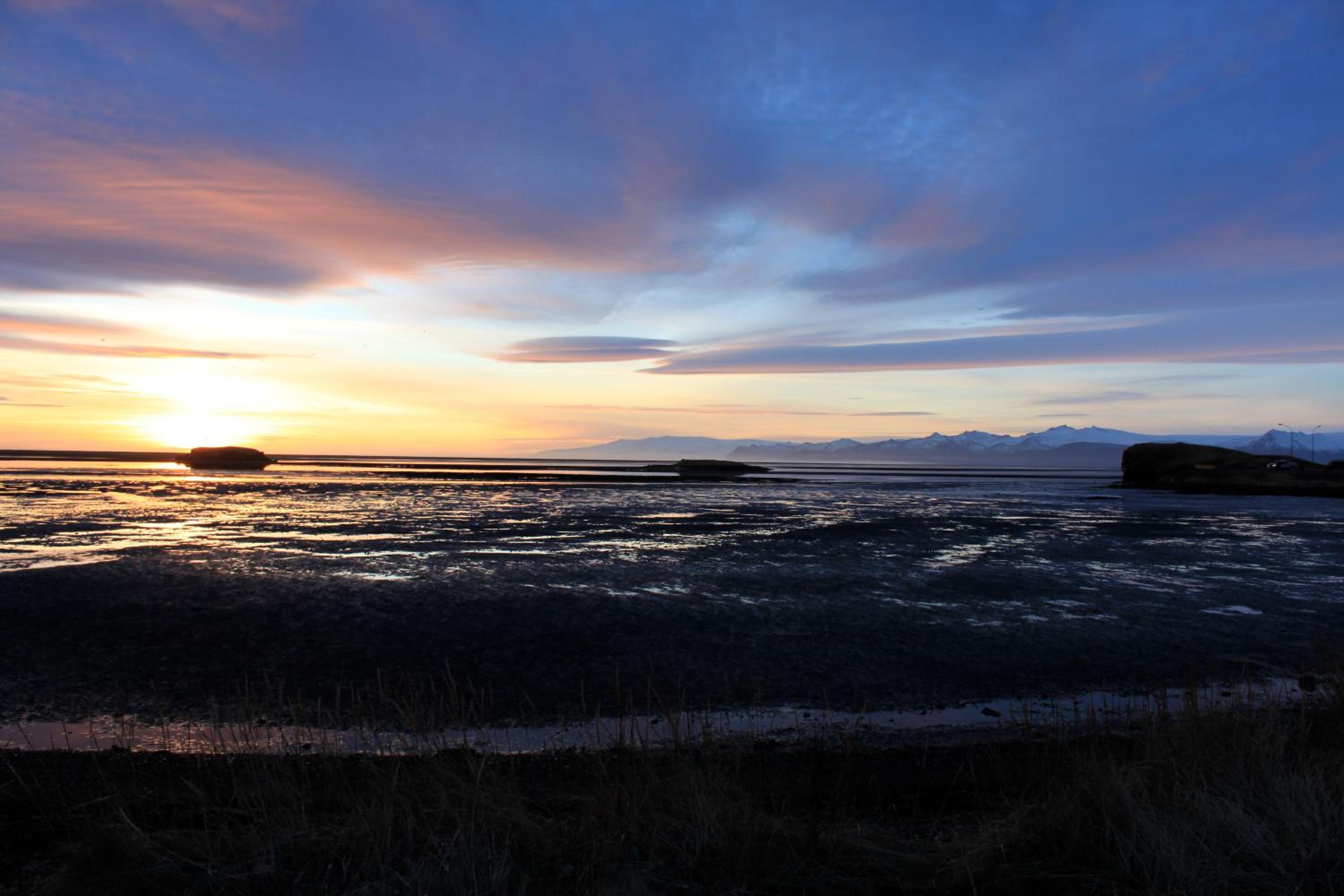Höfn Inn Guesthouse