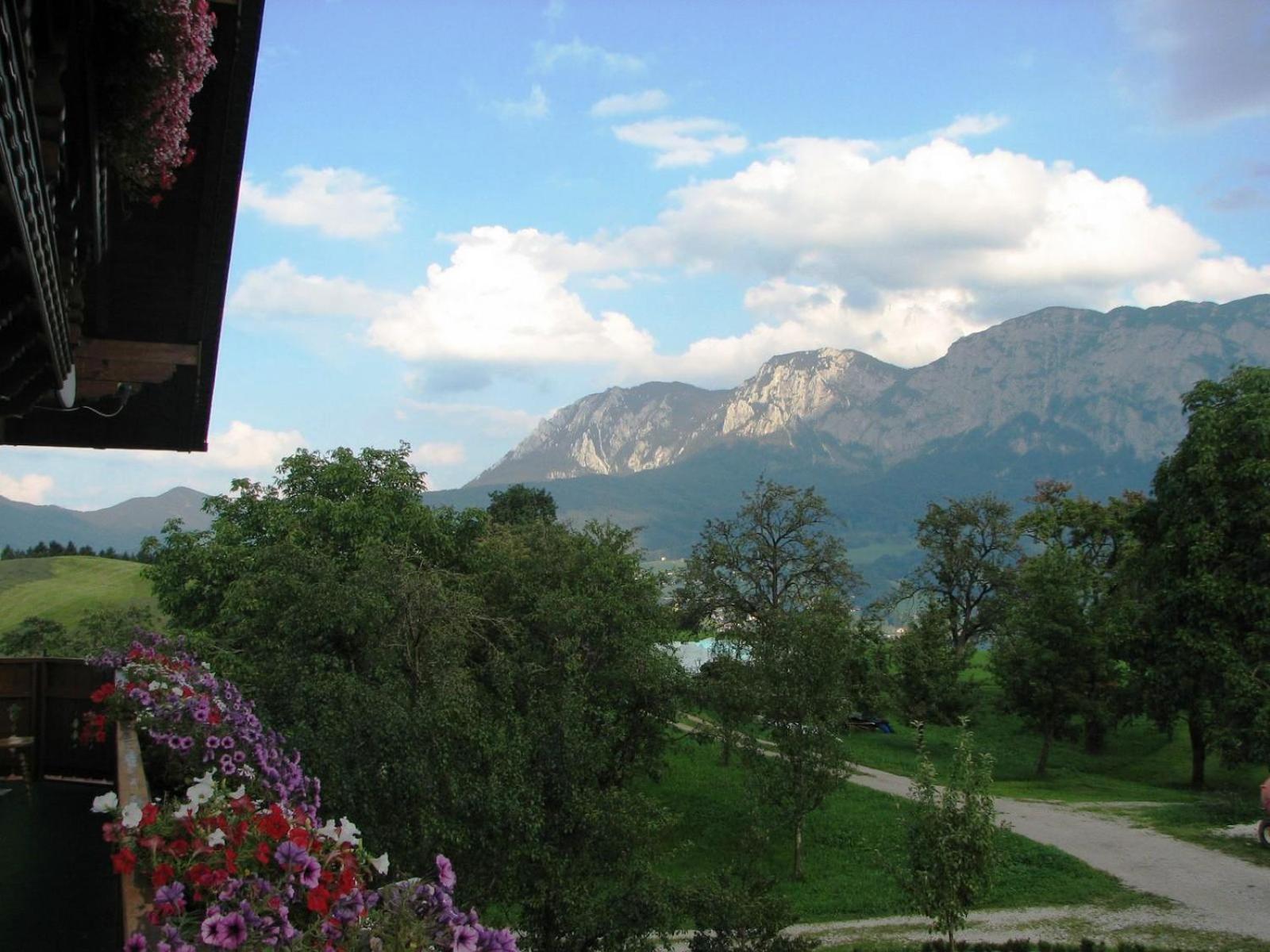 Tremlhof view 2