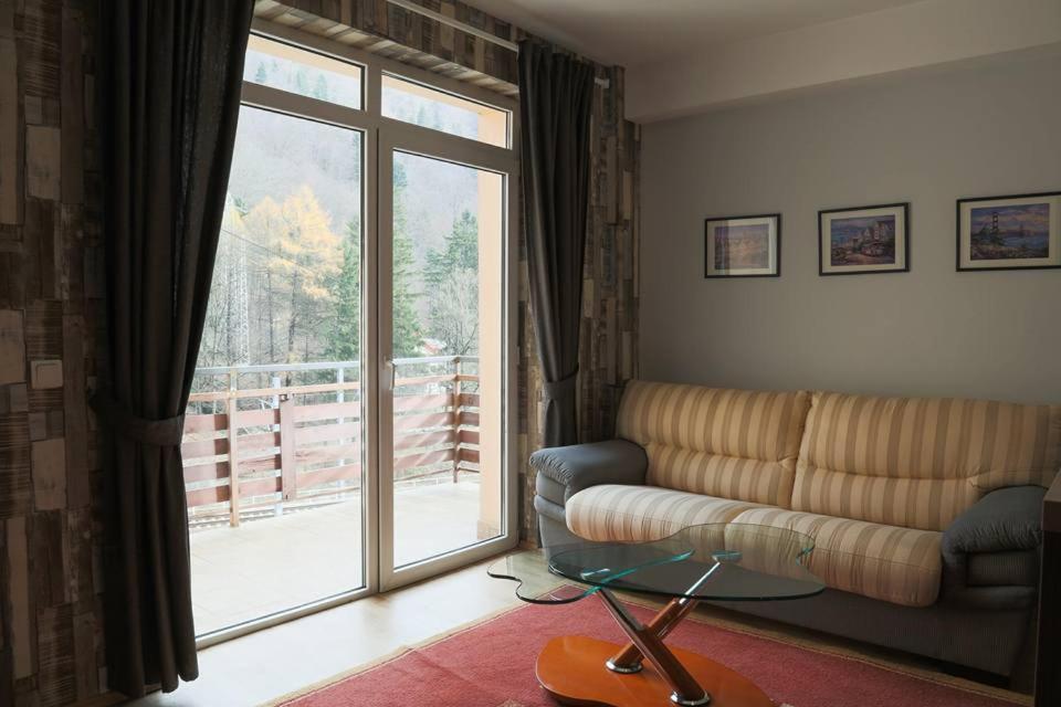 Prahova Valley Apartment
