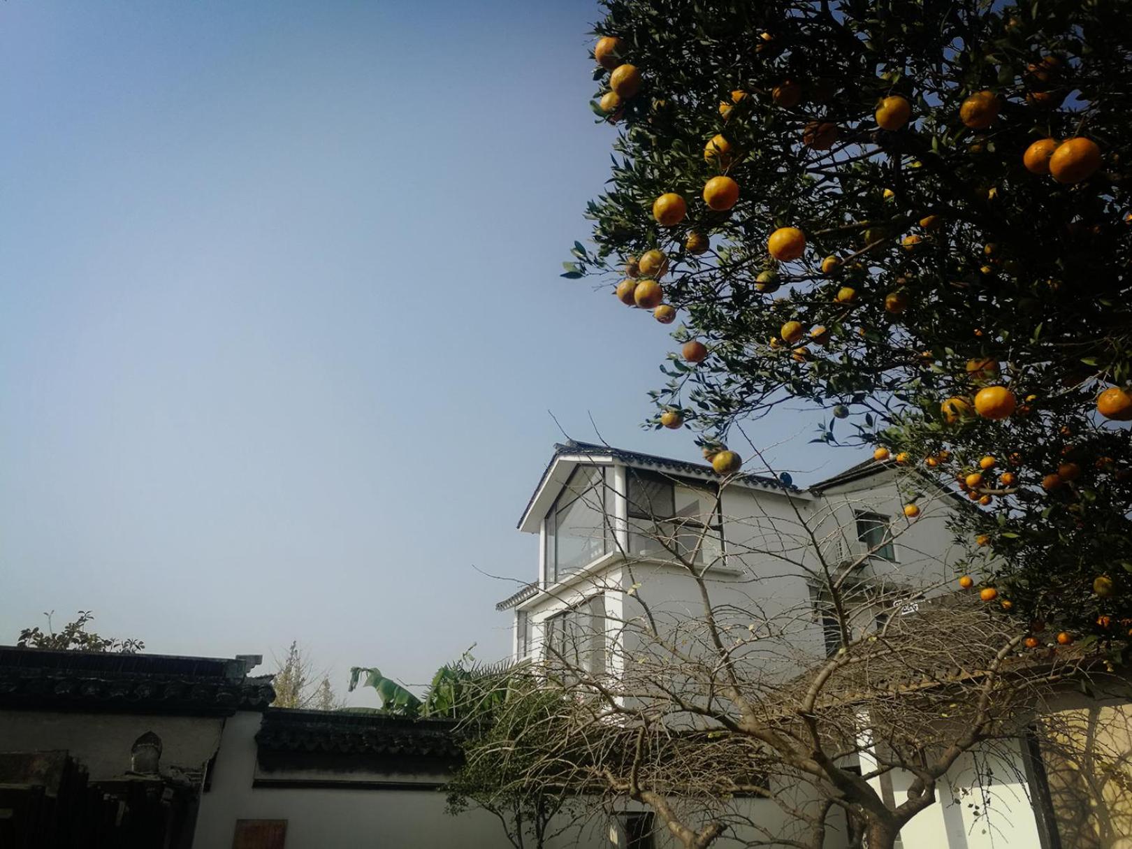 Pure-Land Villa