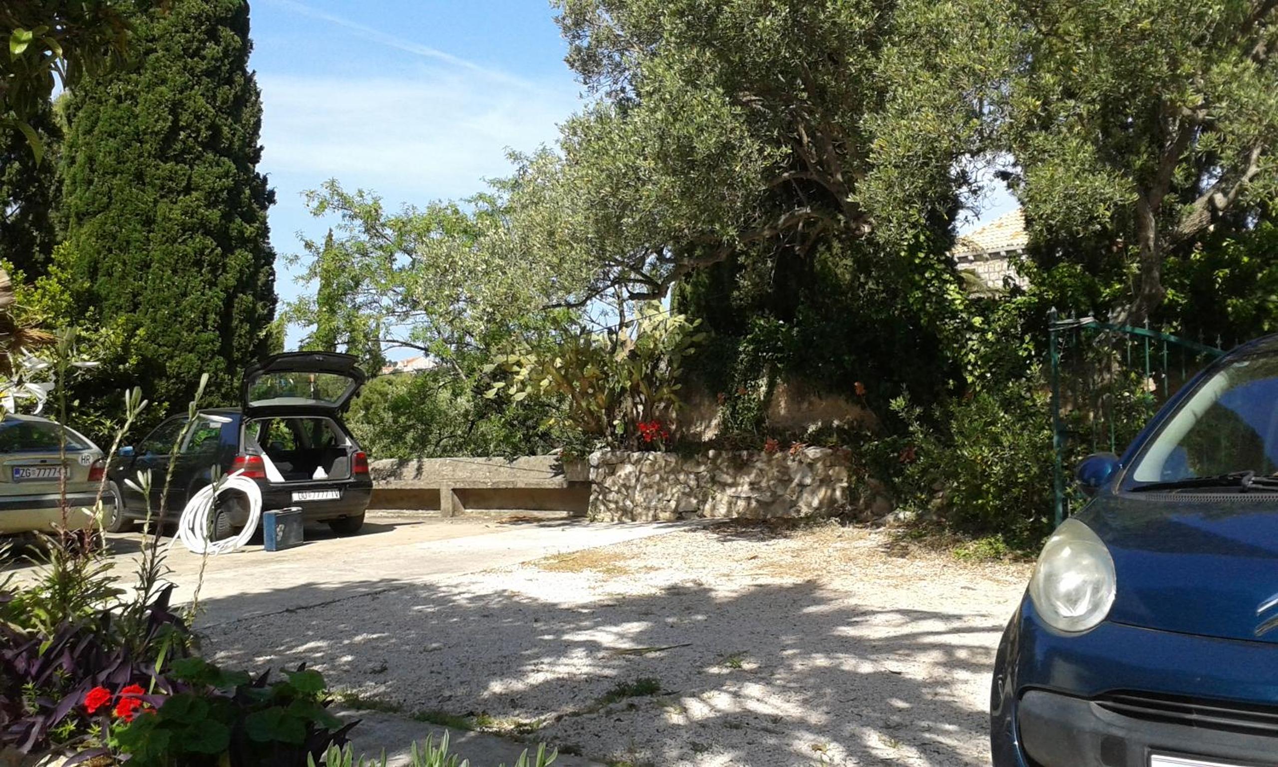Photo 43