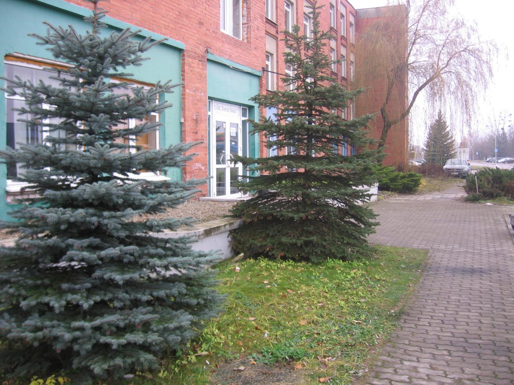 Photo 26