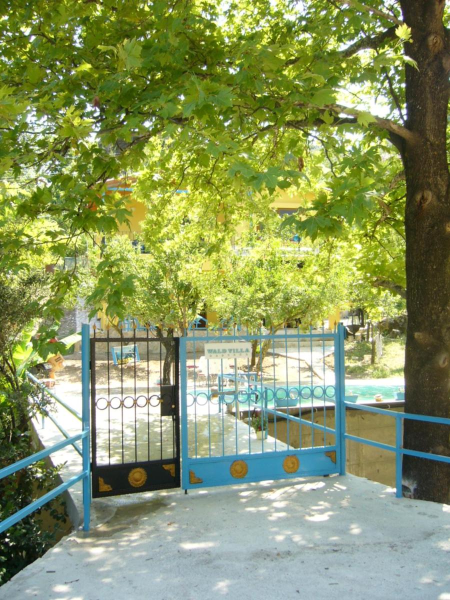 Photo 46