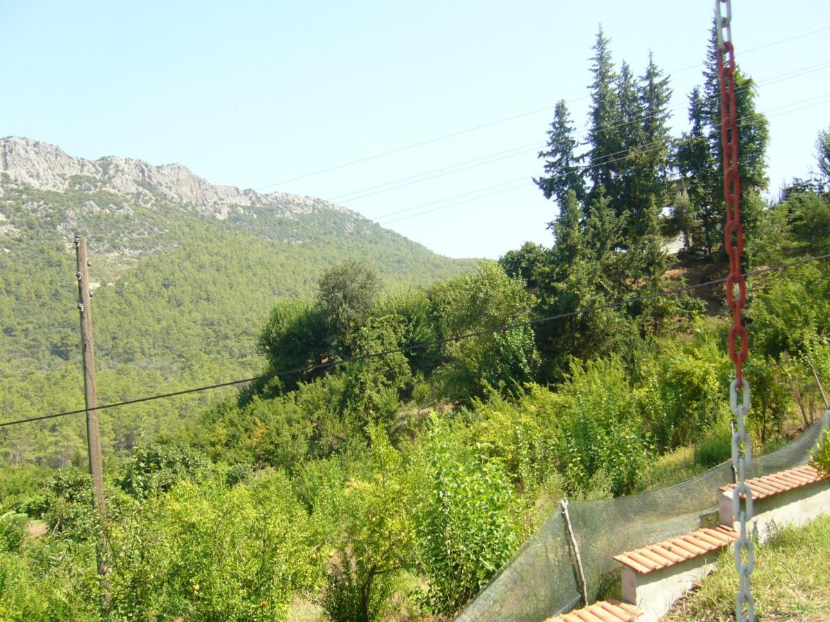Photo 28