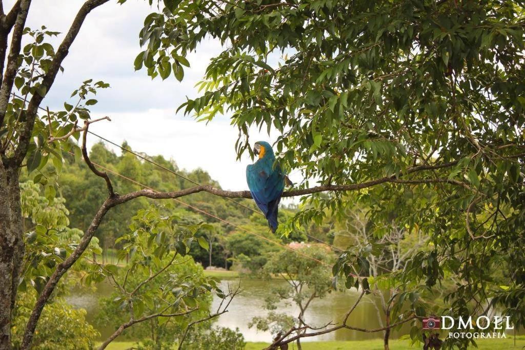 Pousada Fazenda Buracão