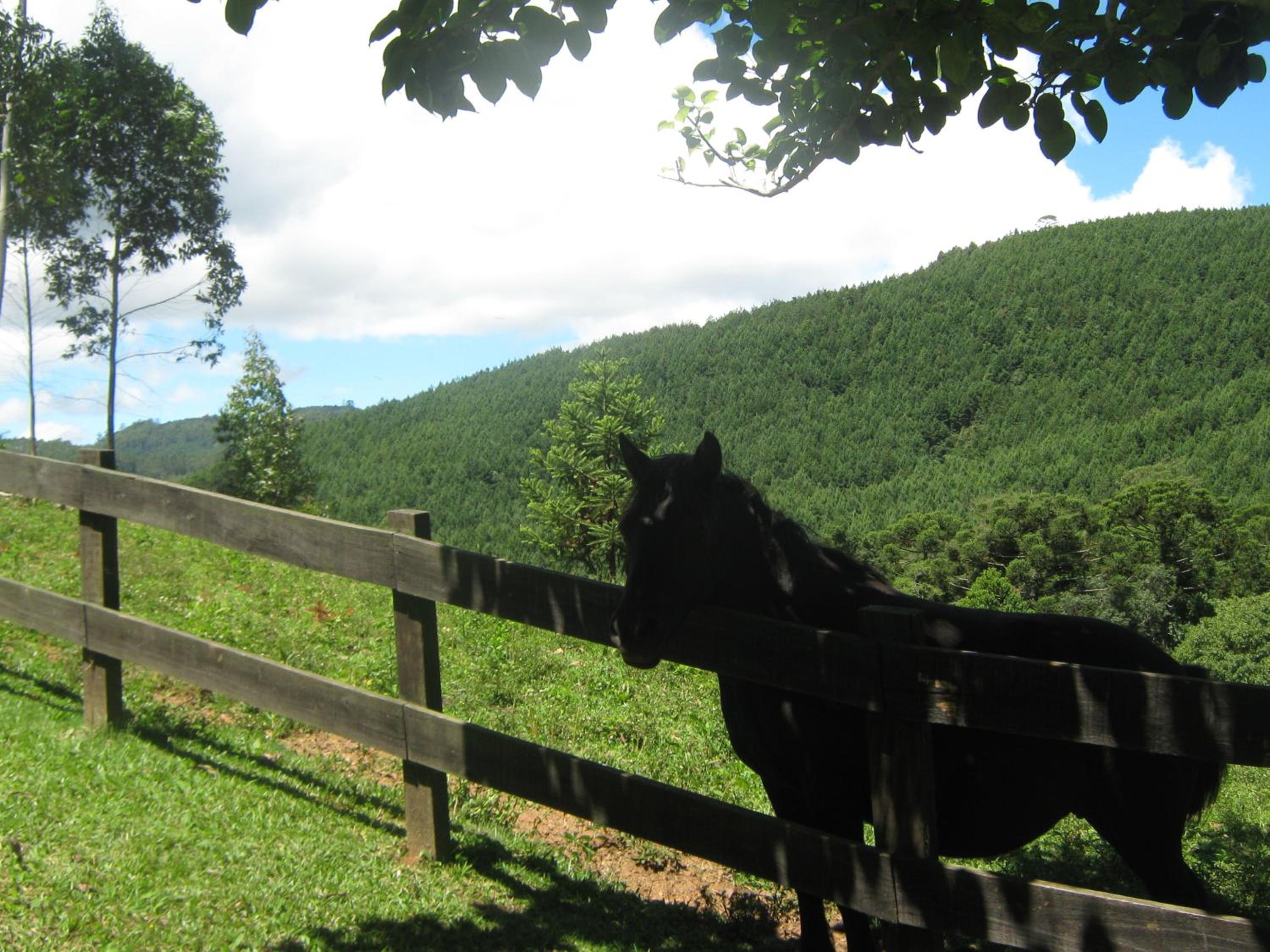 Caminho do Sol