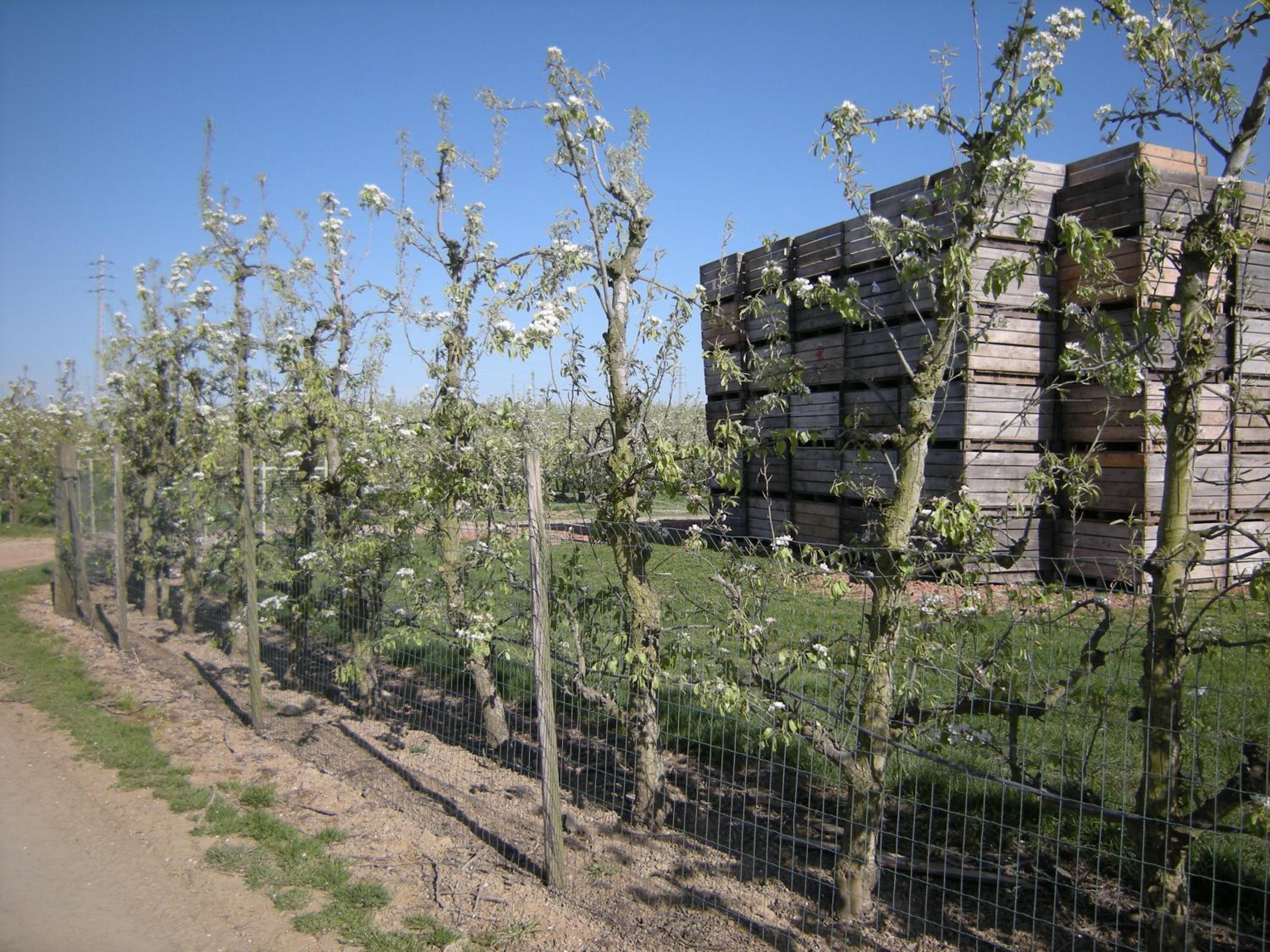 De Verborgen Parel B&B