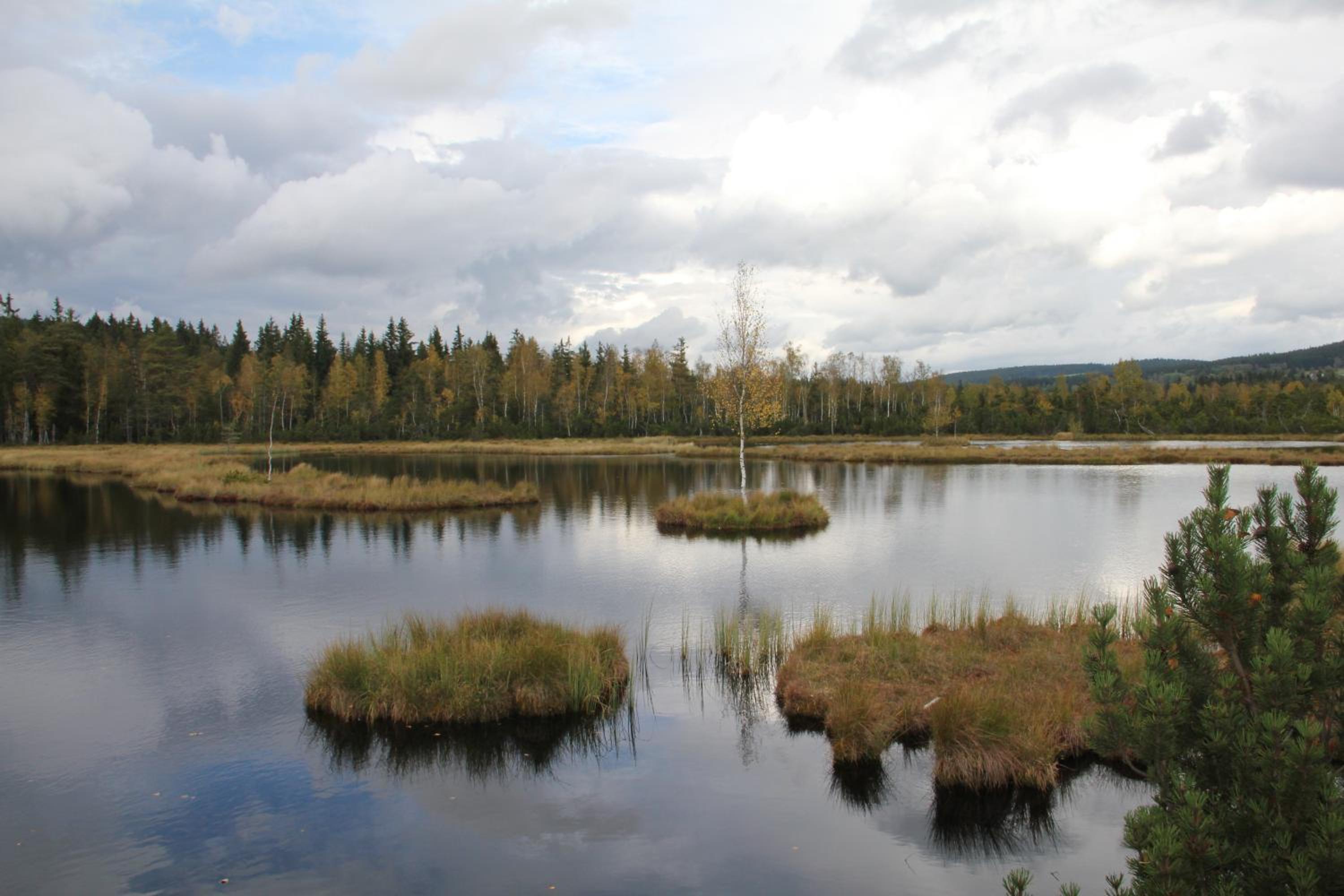 Photo 47