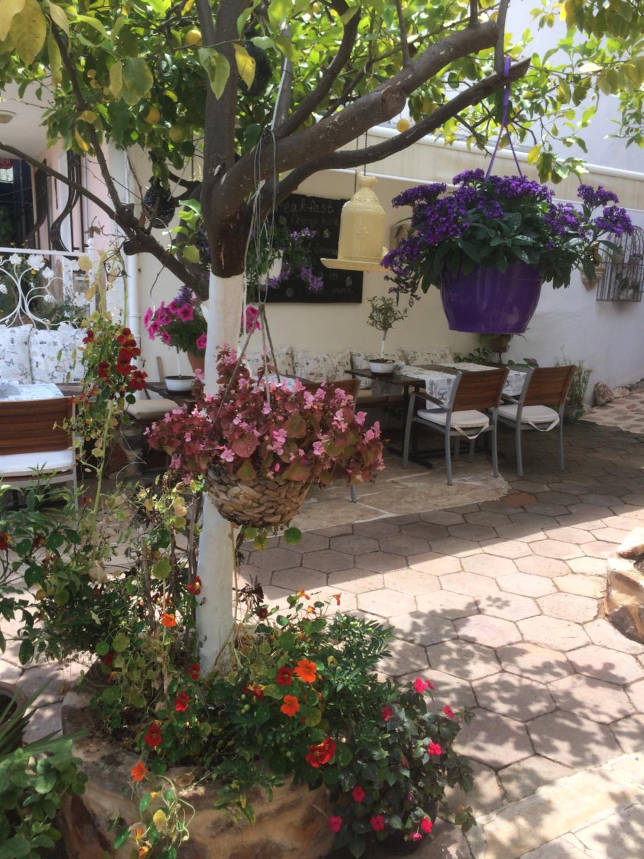 Lemon Villa Otel - Yetişkinlere Özel - Image 124