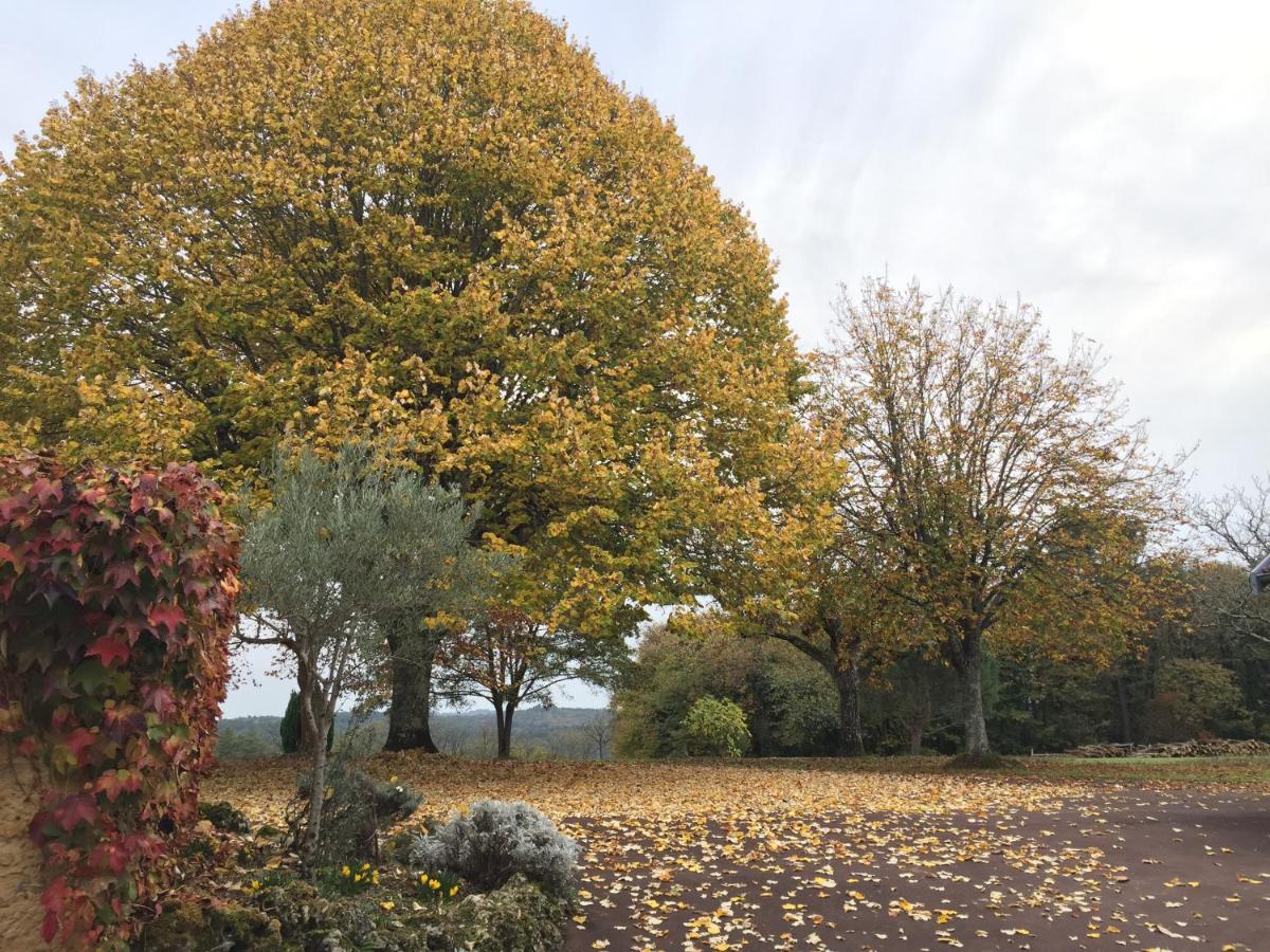 Domaine de Lascaux