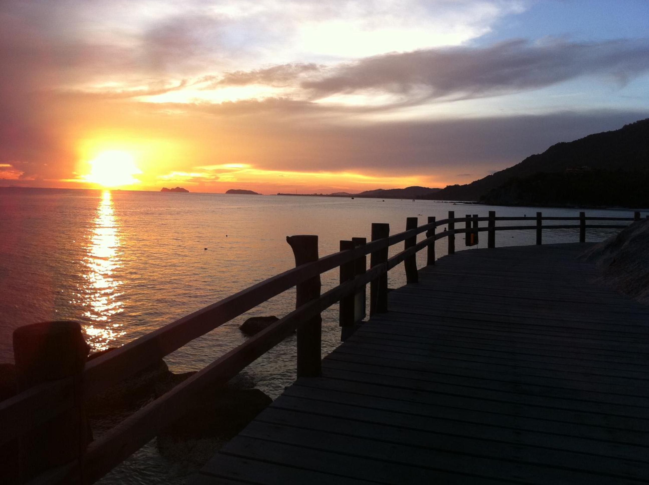 Photo 44