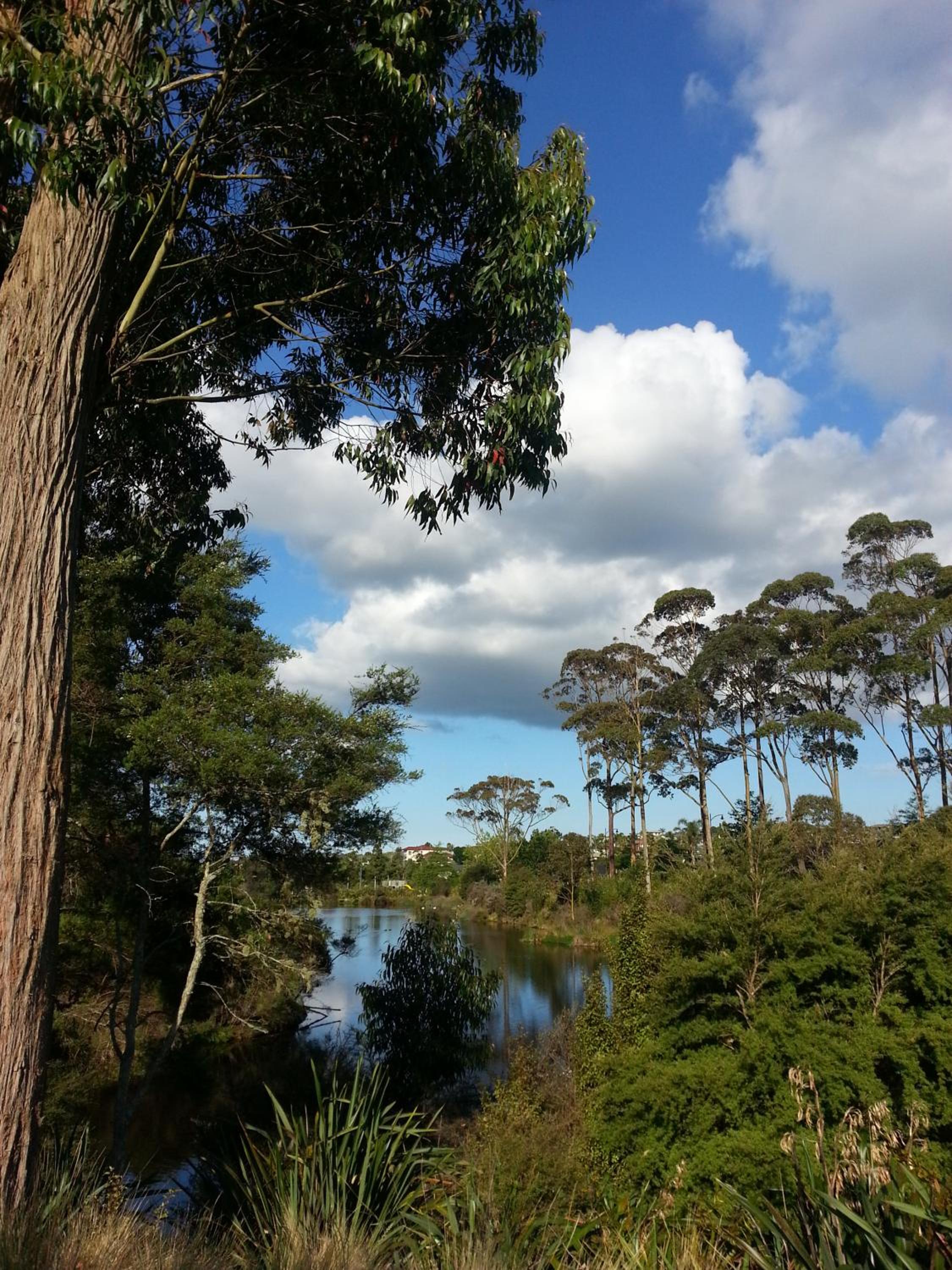 Lush & Co Auckland Bed & Breakfast