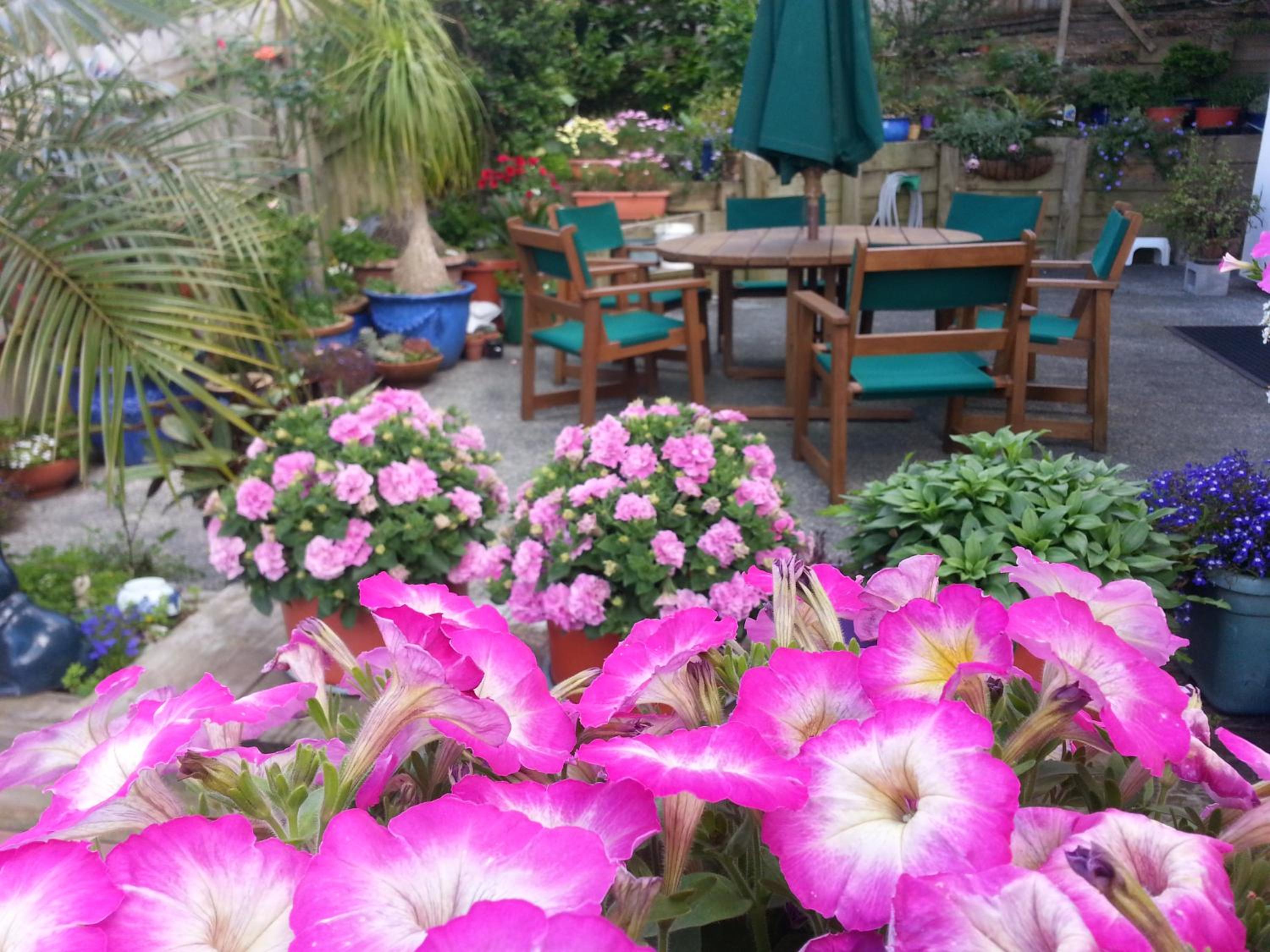 Lush & Co Auckland Bed & Breakfast