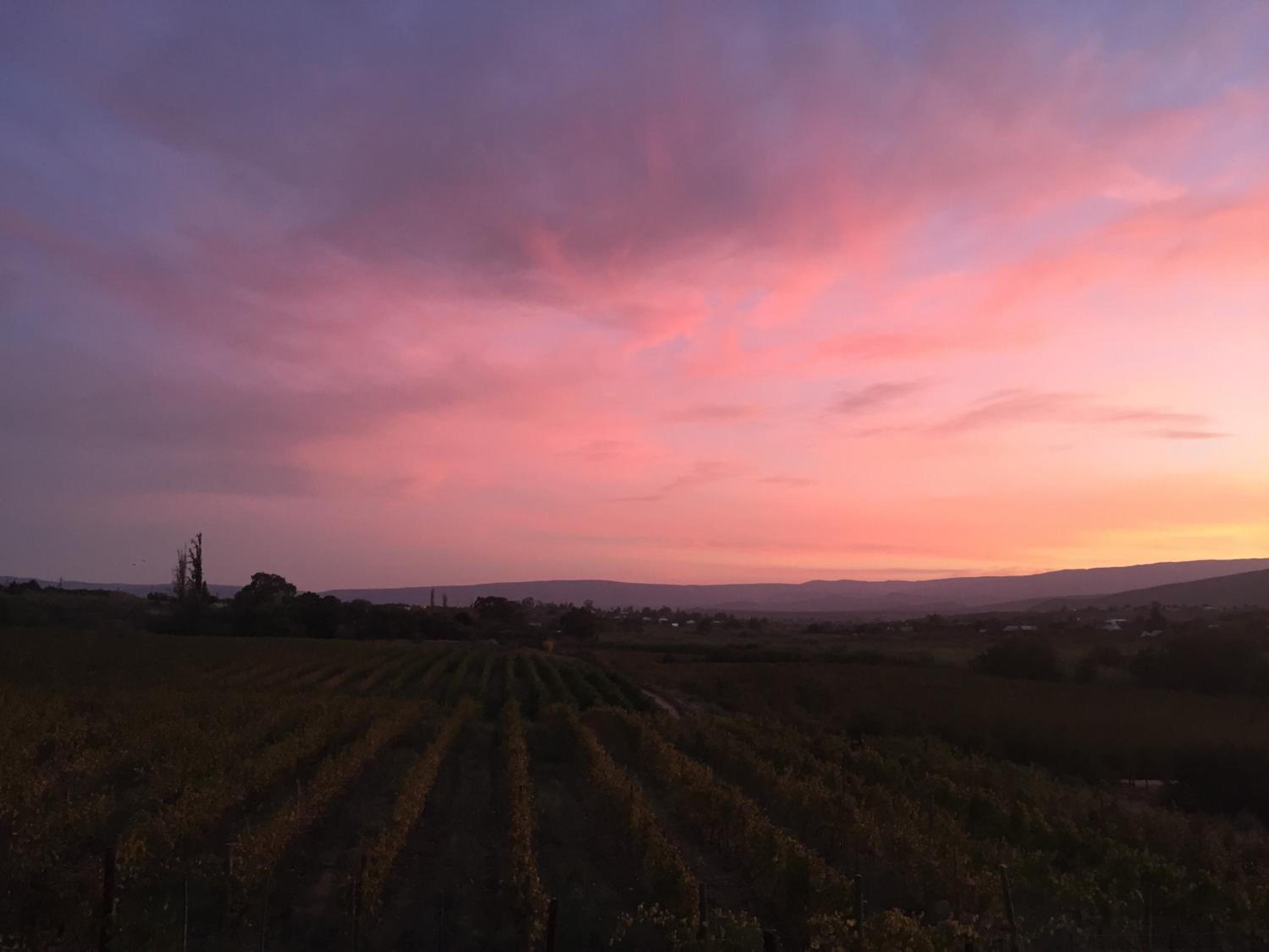Calitzdorp Country House