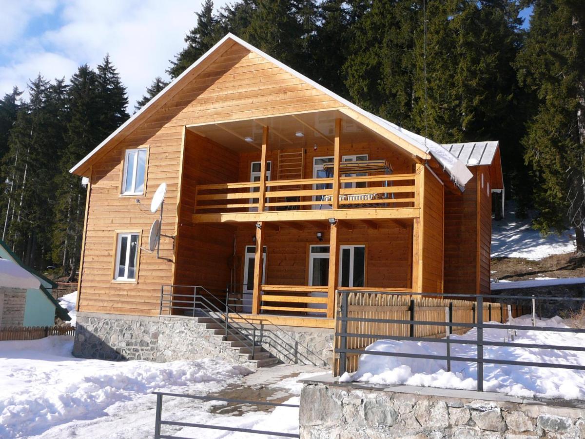 Cottage Chalet in Bakuriani view 3
