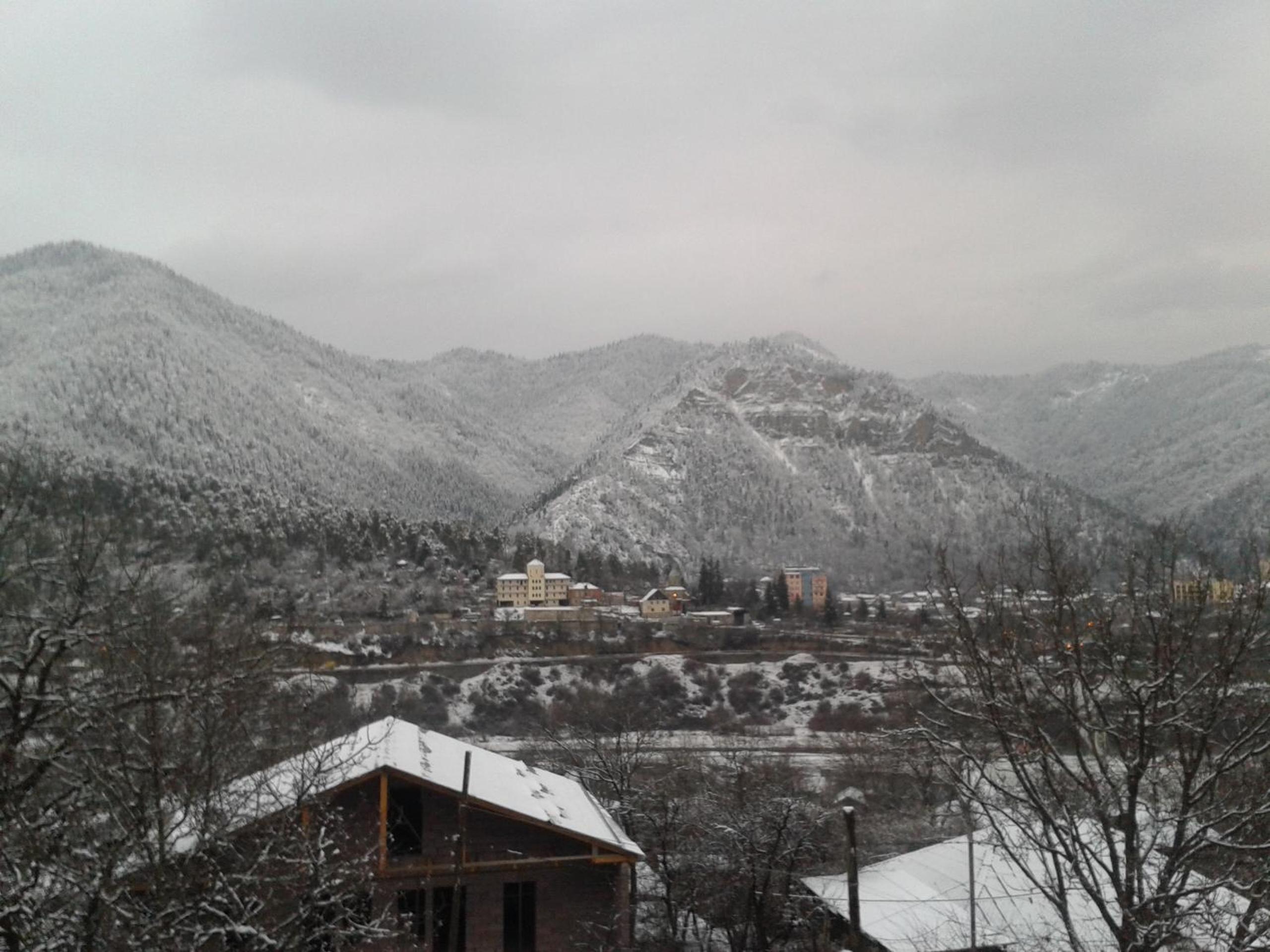 Photo 44