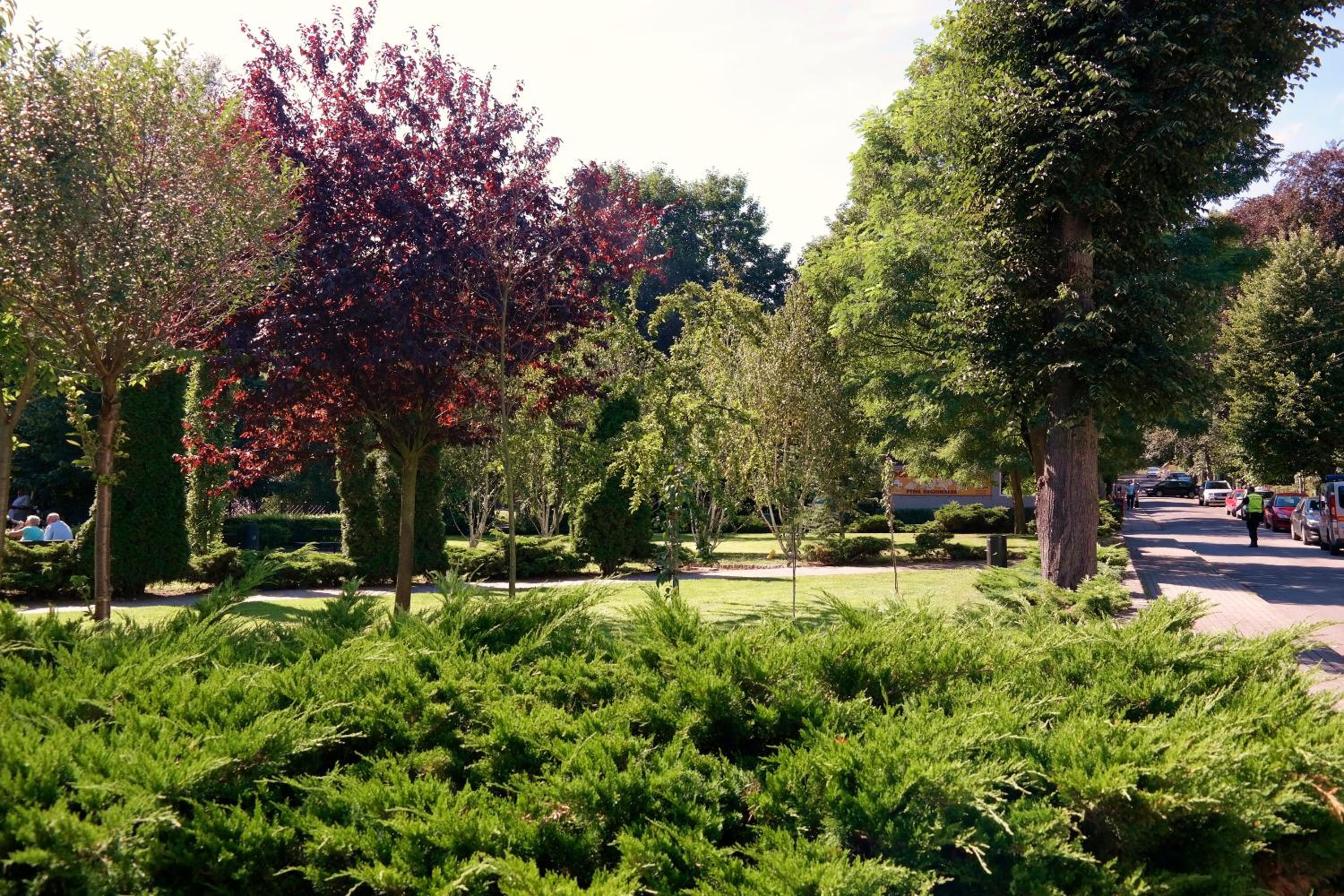 Photo 9