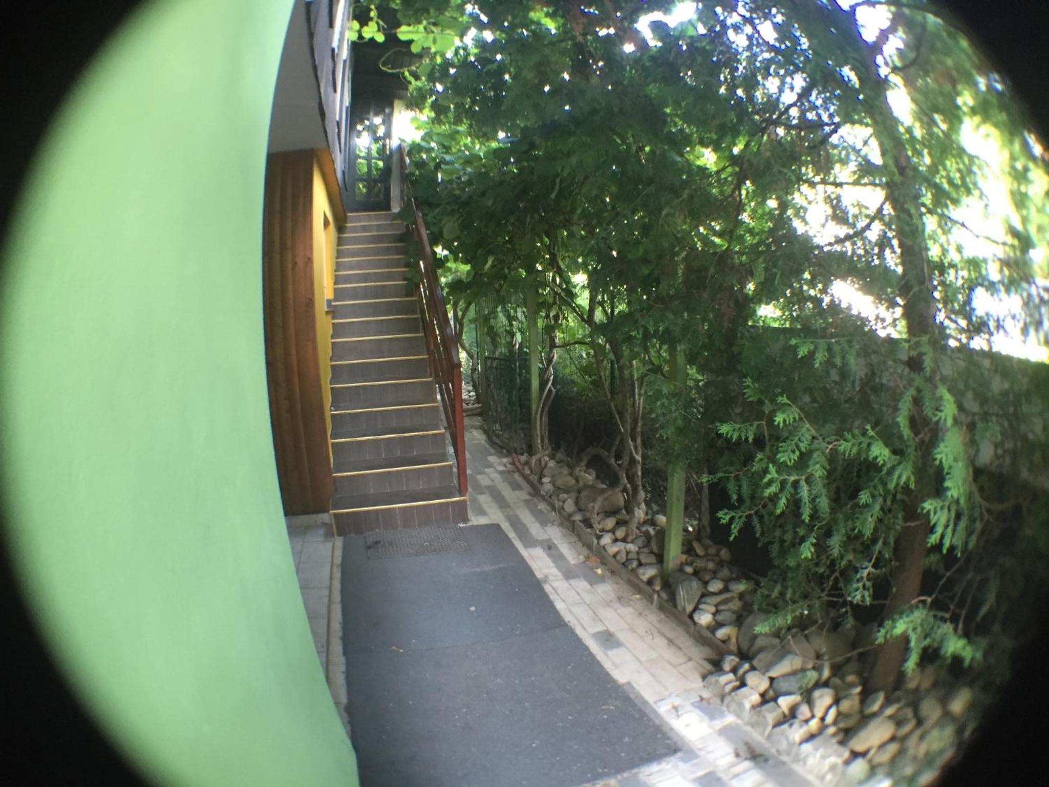 Photo 25