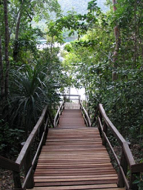 Photo 47