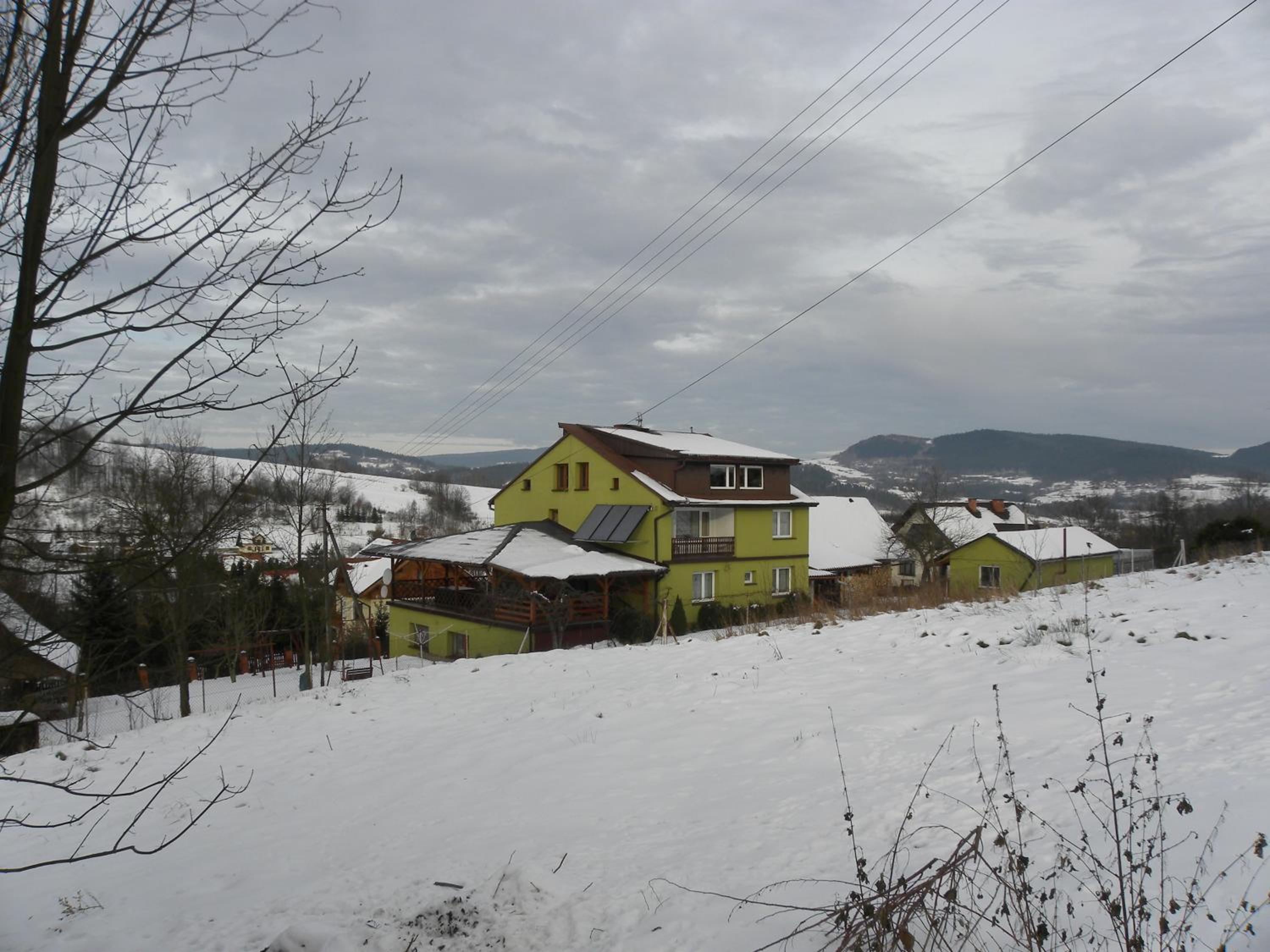 Photo 50