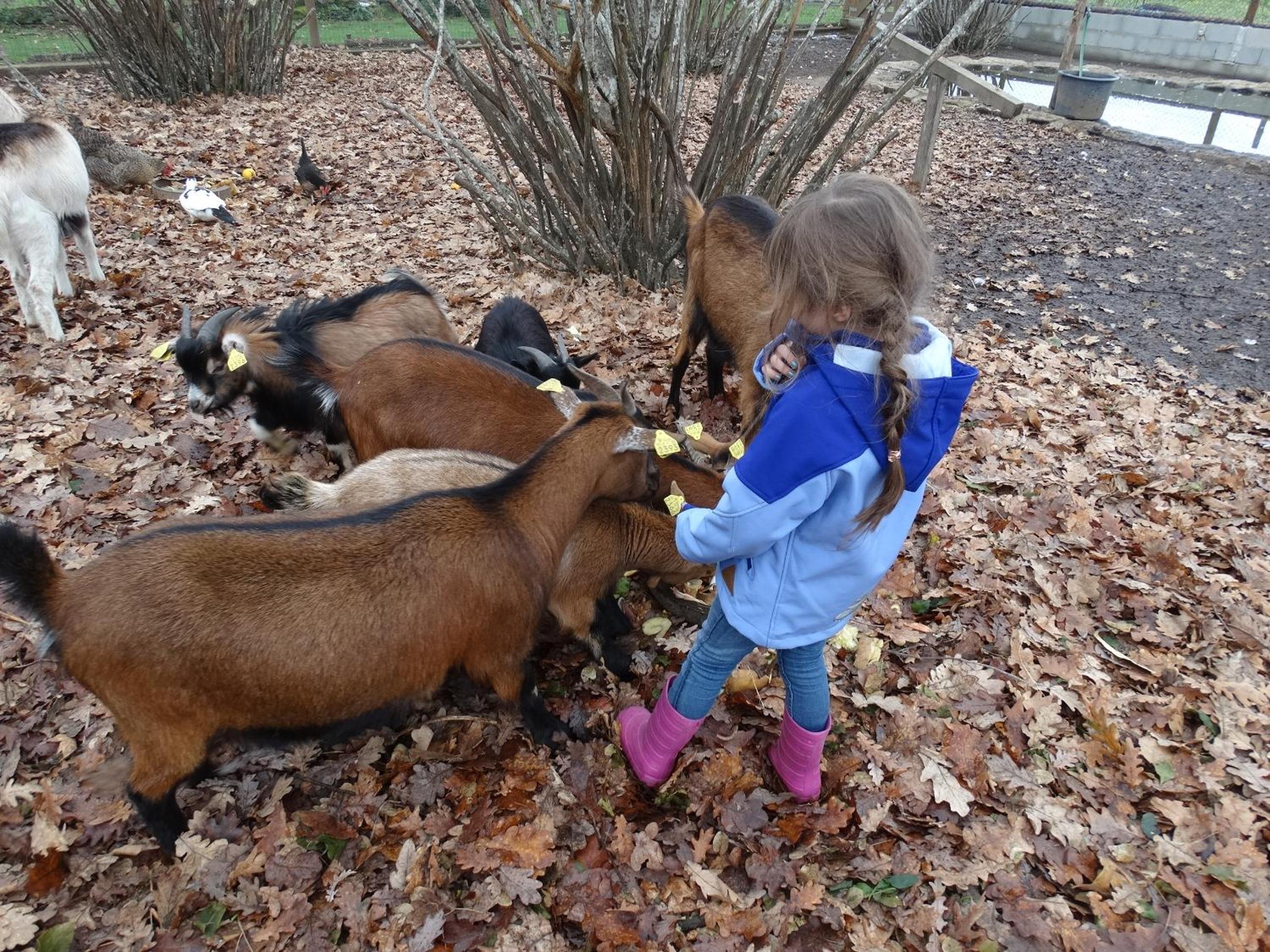 Casa Das Palmeiras-Pedagogic Farm
