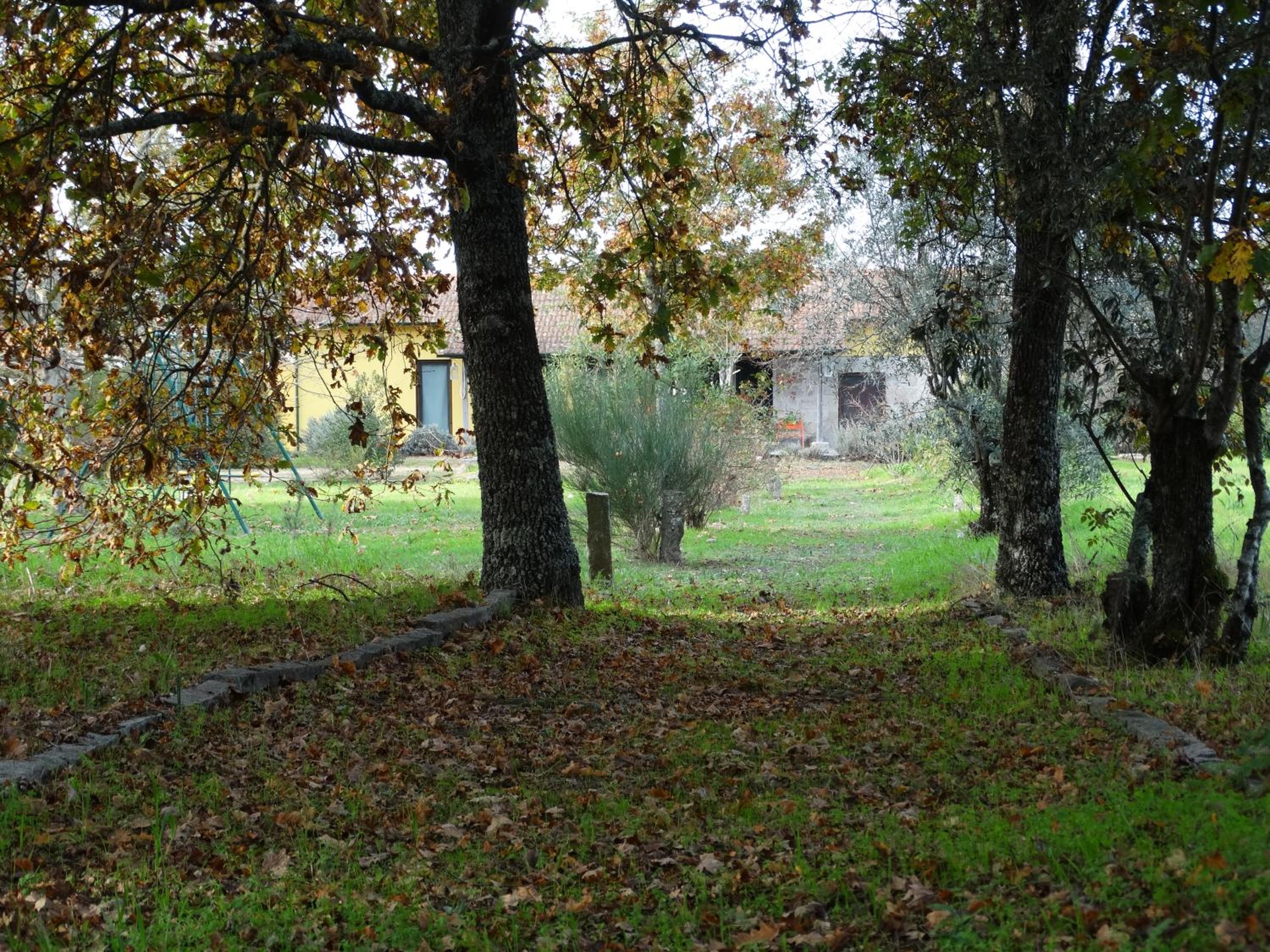 Casa Das Palmeiras-Pedagogic Farm